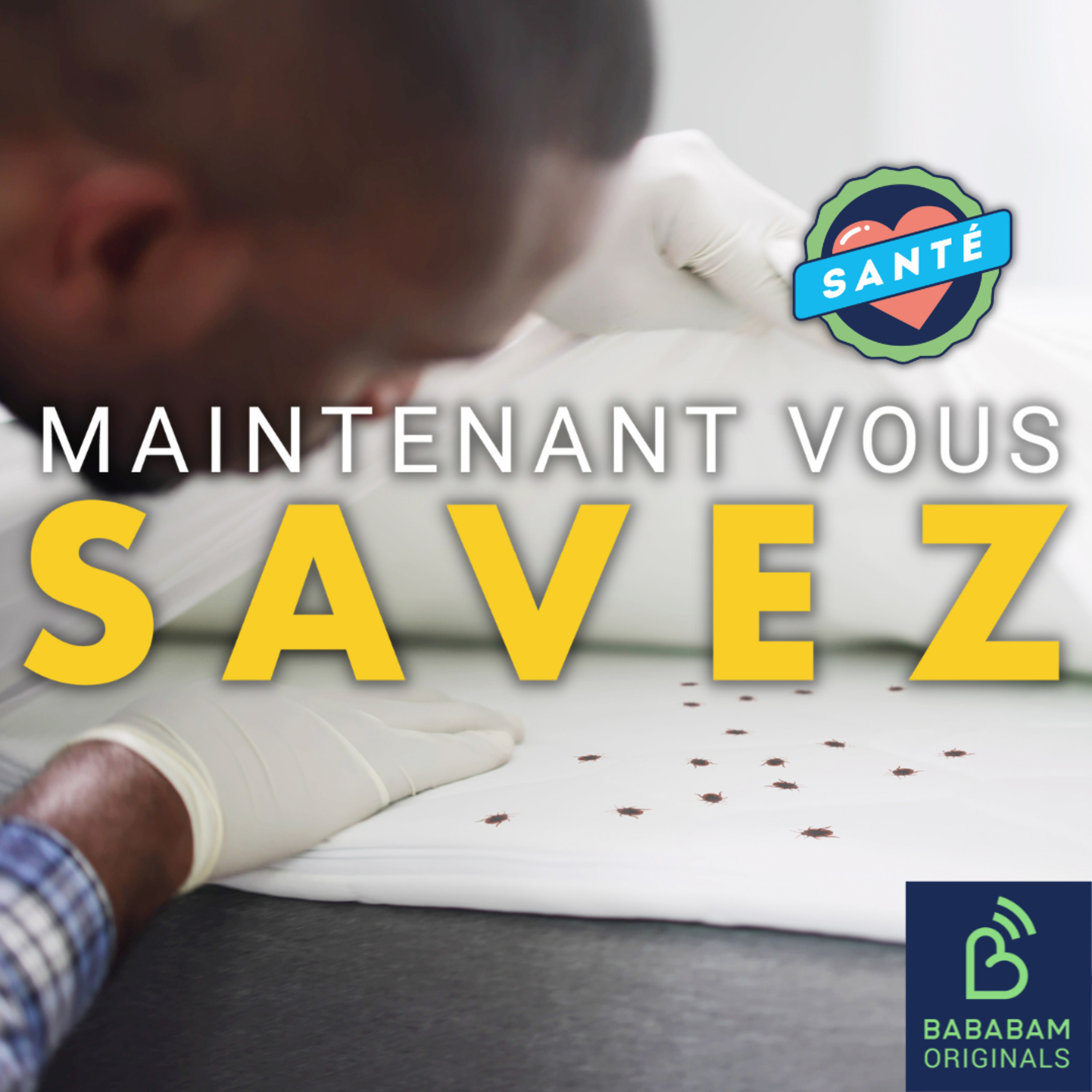 Punaises de lit : quels sont les risques ?