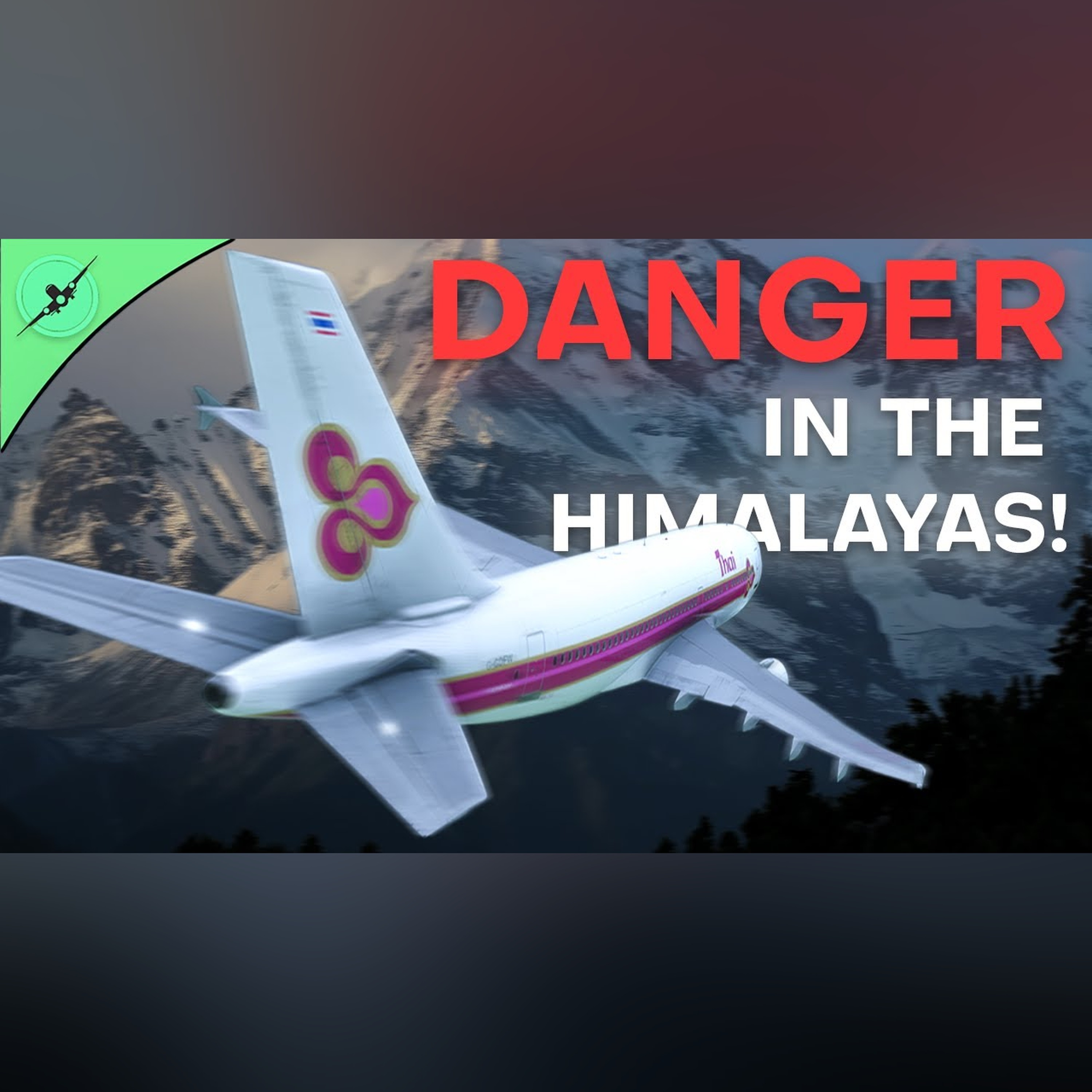 HOW did this plane end up crashing into the Himalayas?? | The Mystery of Thai 311