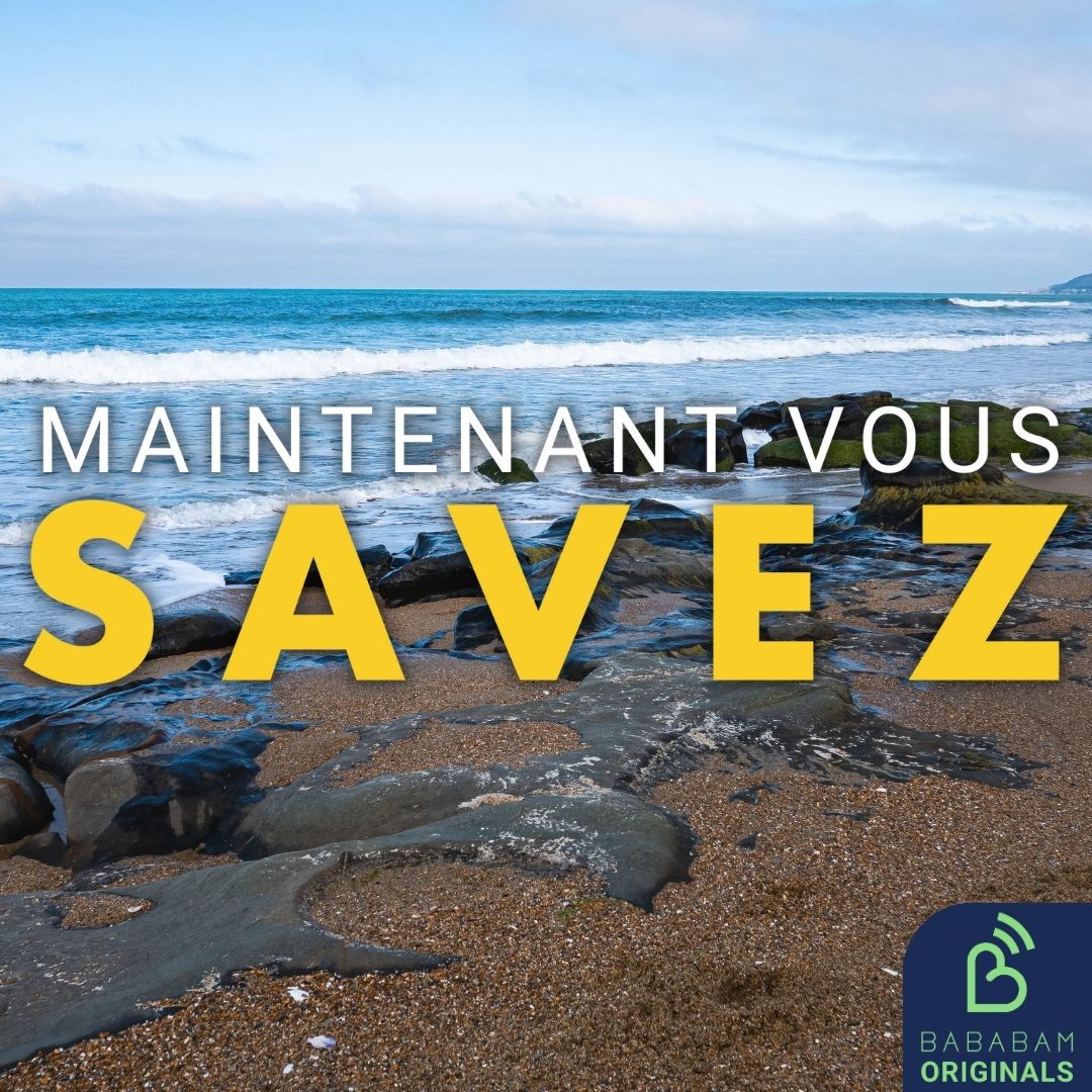 Qu’est-ce que la “plasticroûte”, cette nouvelle forme de pollution ?