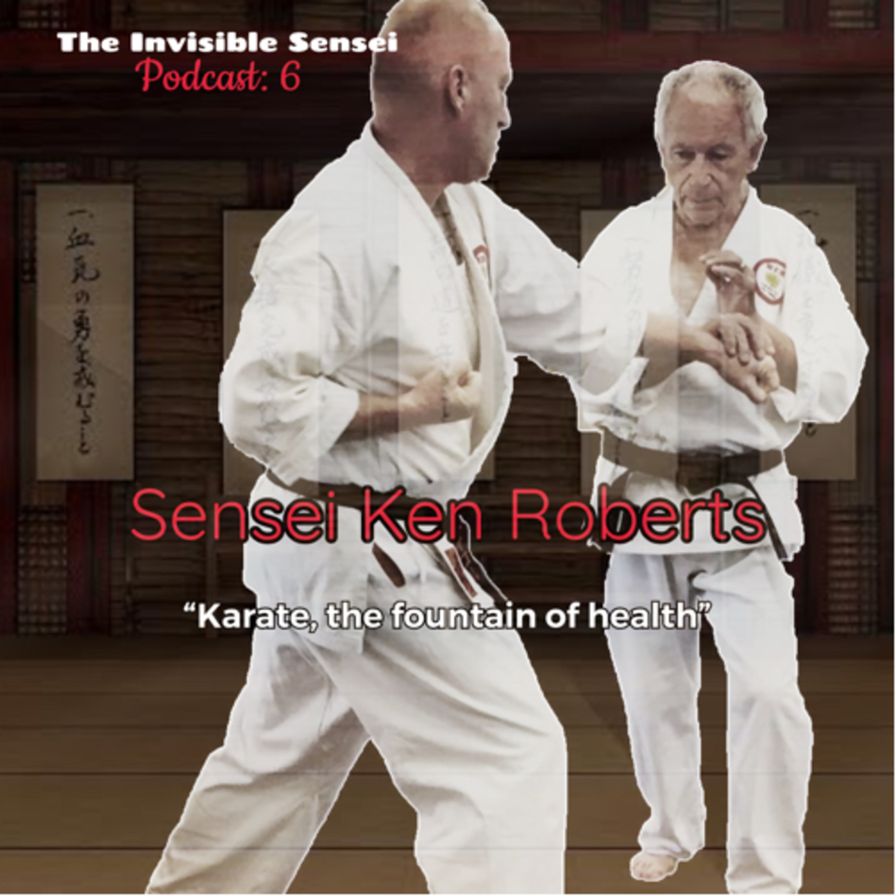 The Invisible Sensei