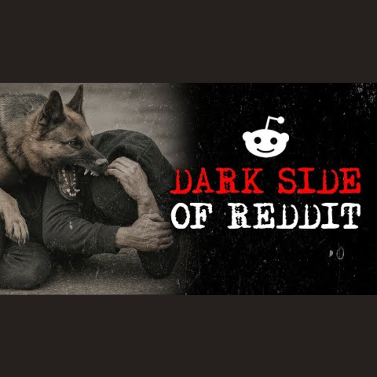 Volume 269: Disturbing True Stories From Reddit episode artwork