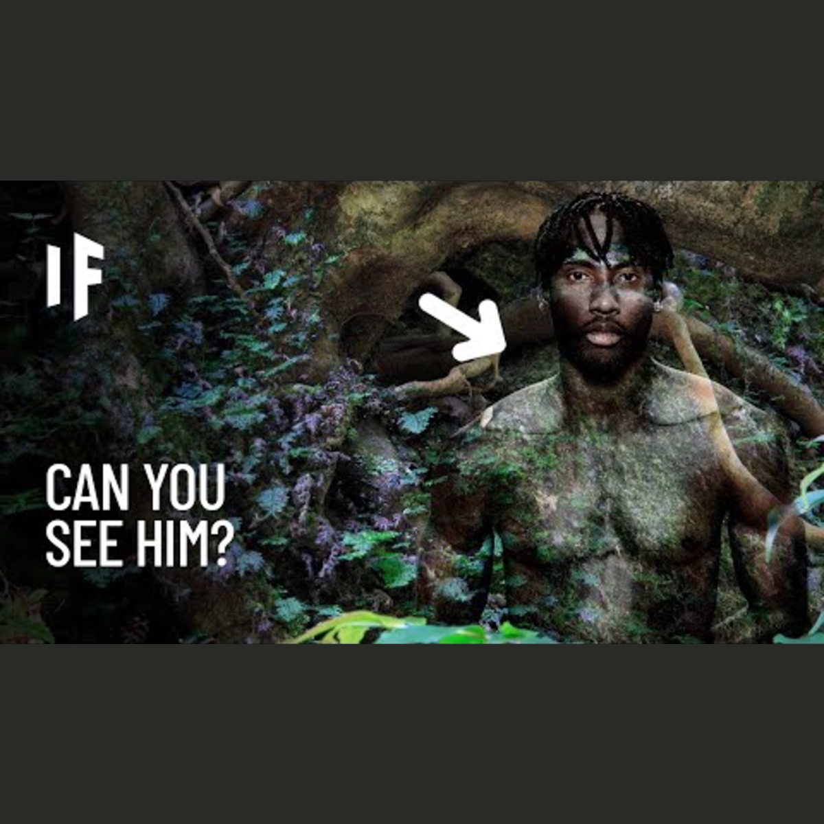 What If You Had Camouflage Skin? episode artwork