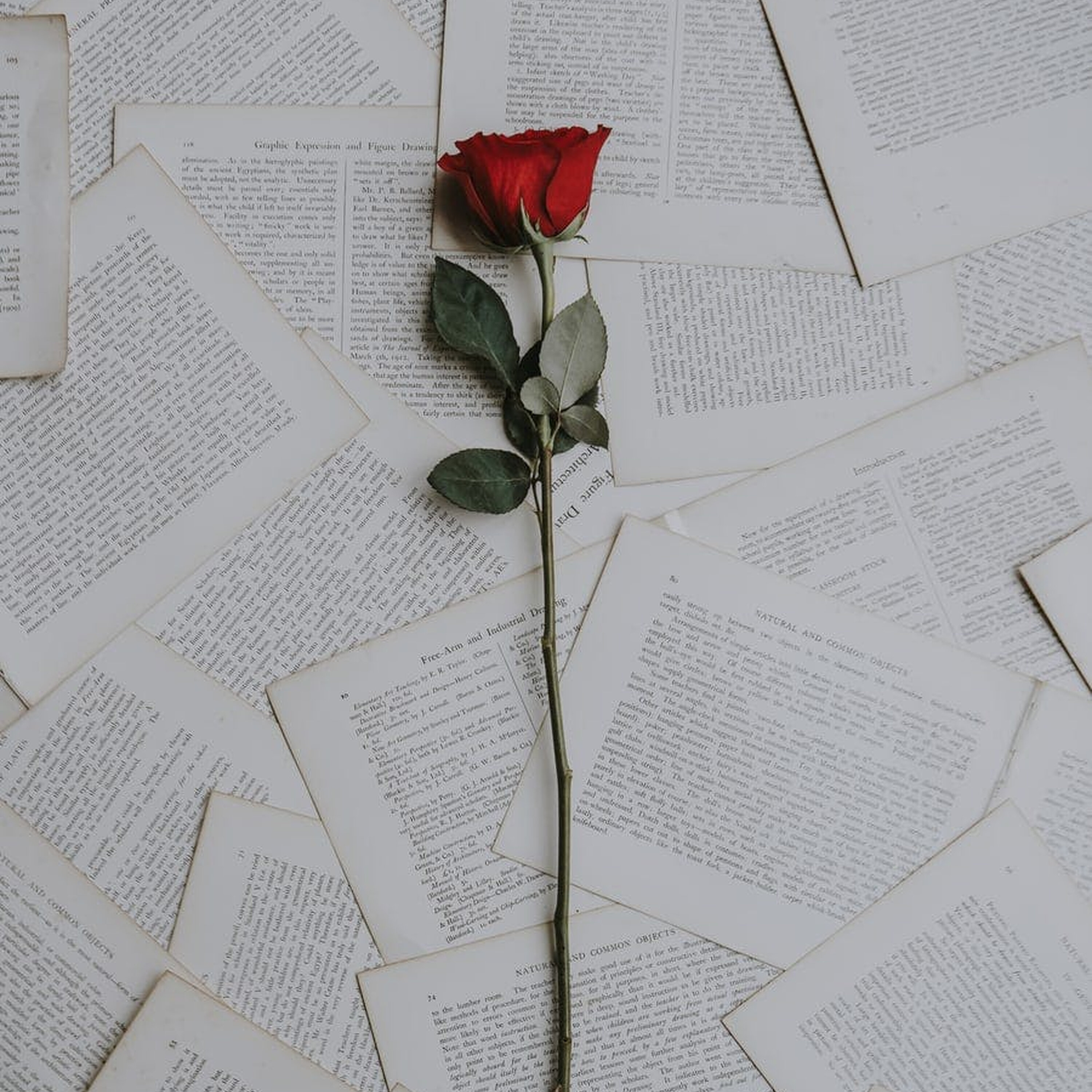 Ep. 174: Career Lessons From The Bachelorette