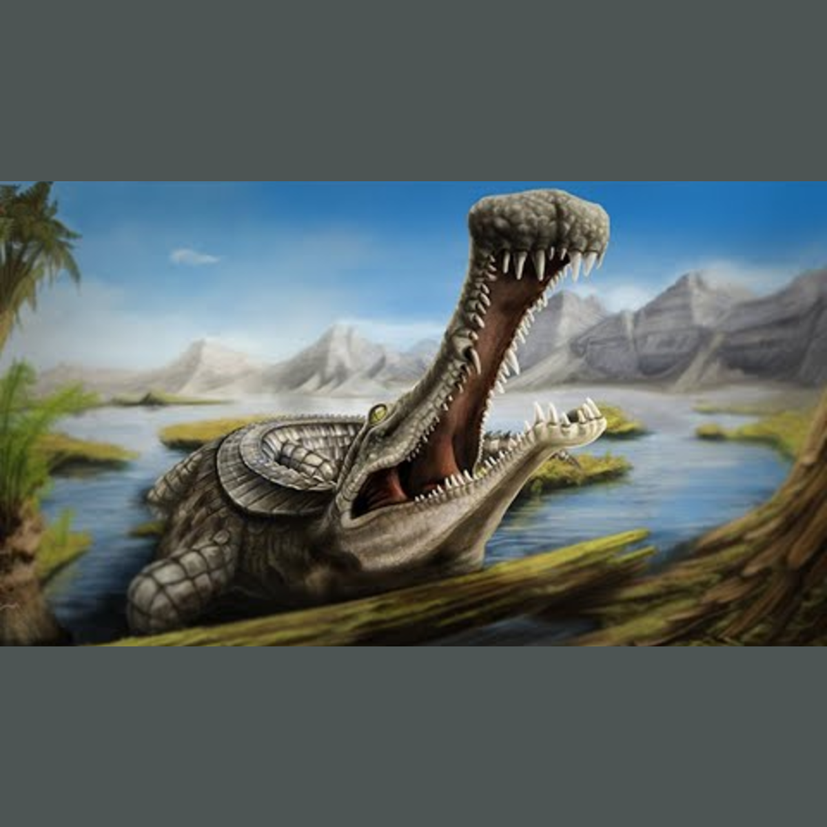 Crocodiles are not “Living Fossils” episode artwork