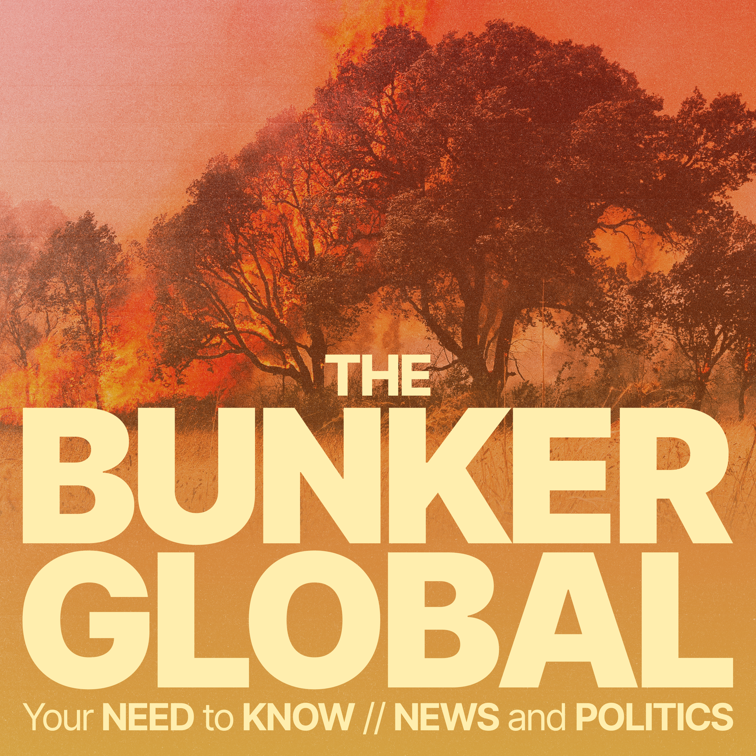 The Bunker – News without the nonsense