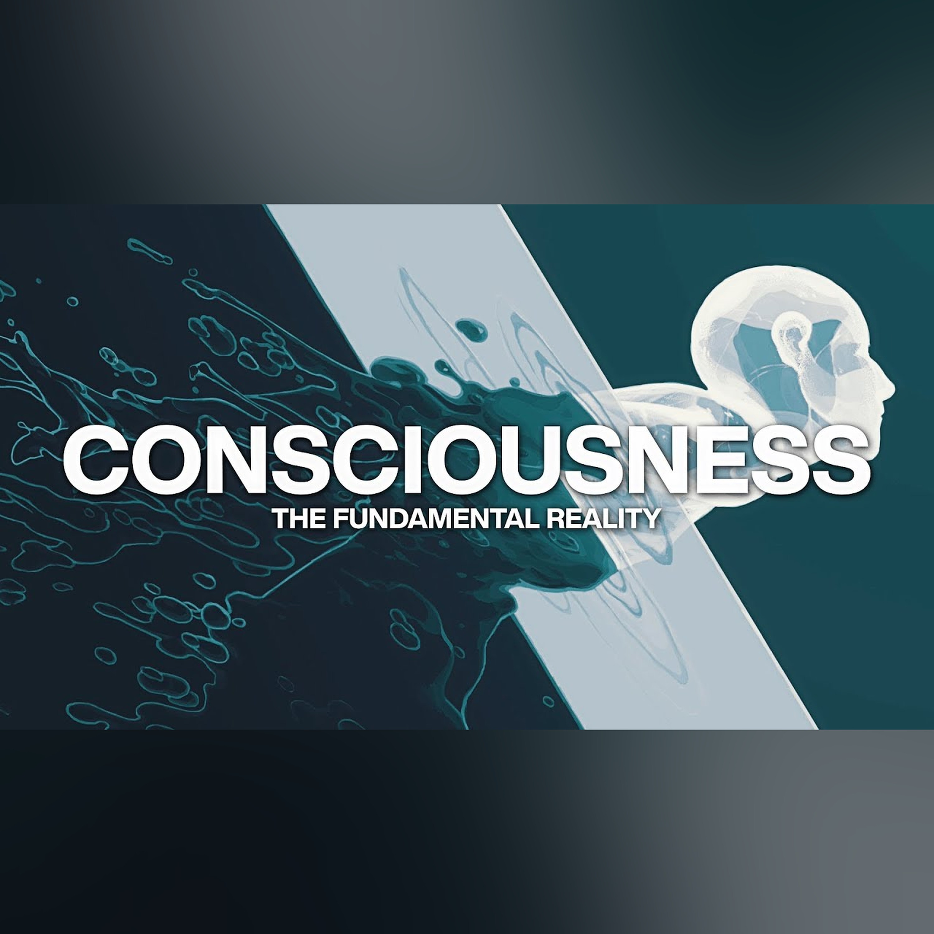 Consciousness: The Fundamental Reality episode artwork