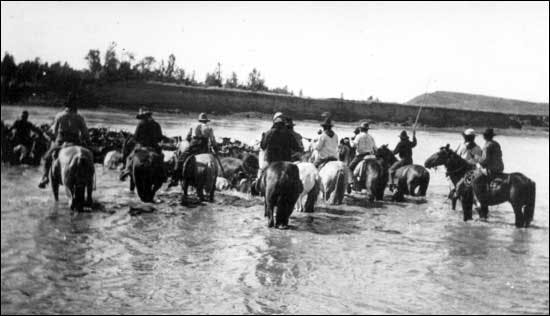 The Texas Cattle Drives of 1866 to 1890 Part 2