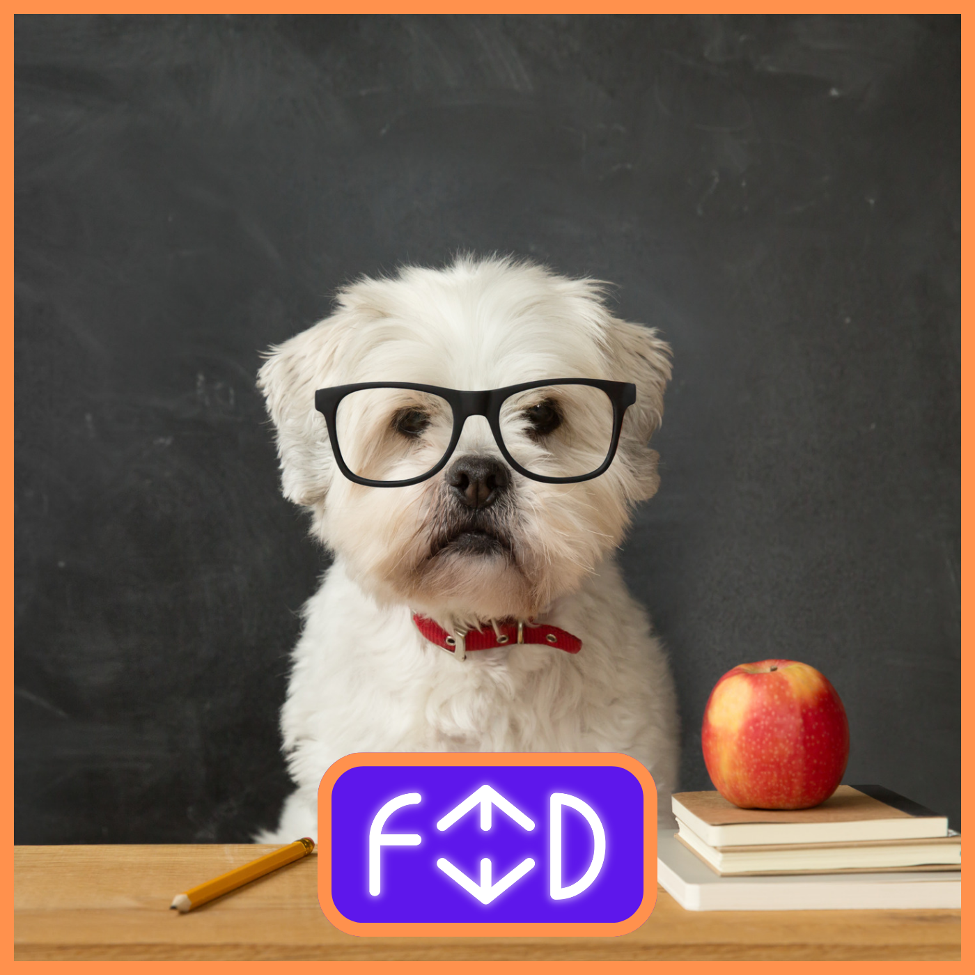 FEED - la coscienza animale: forse è la via per arrivare all'intelligenza artificiale?