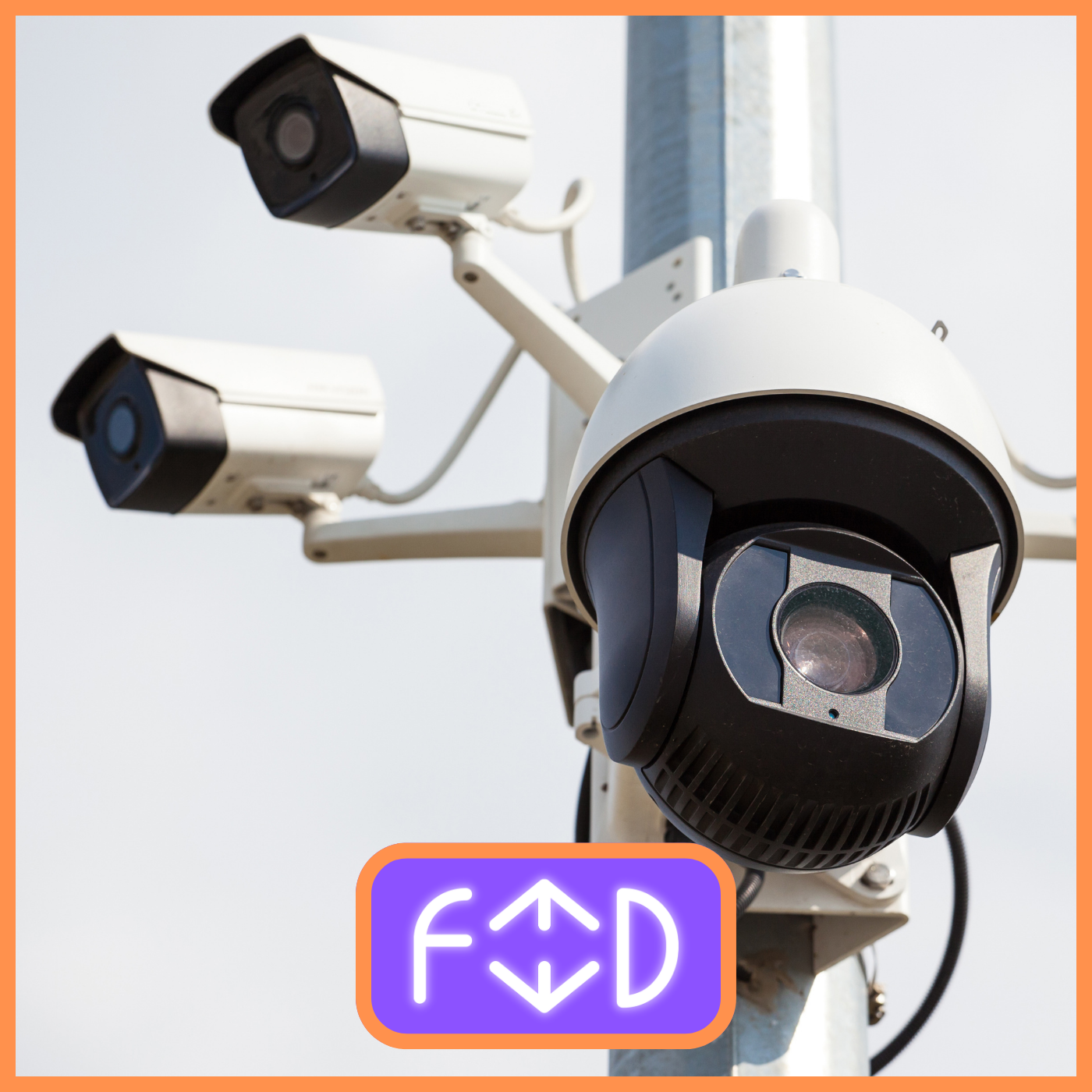 FEED - Hikvision: l'azienda che non conosci ma sorveglia tutto e tutti