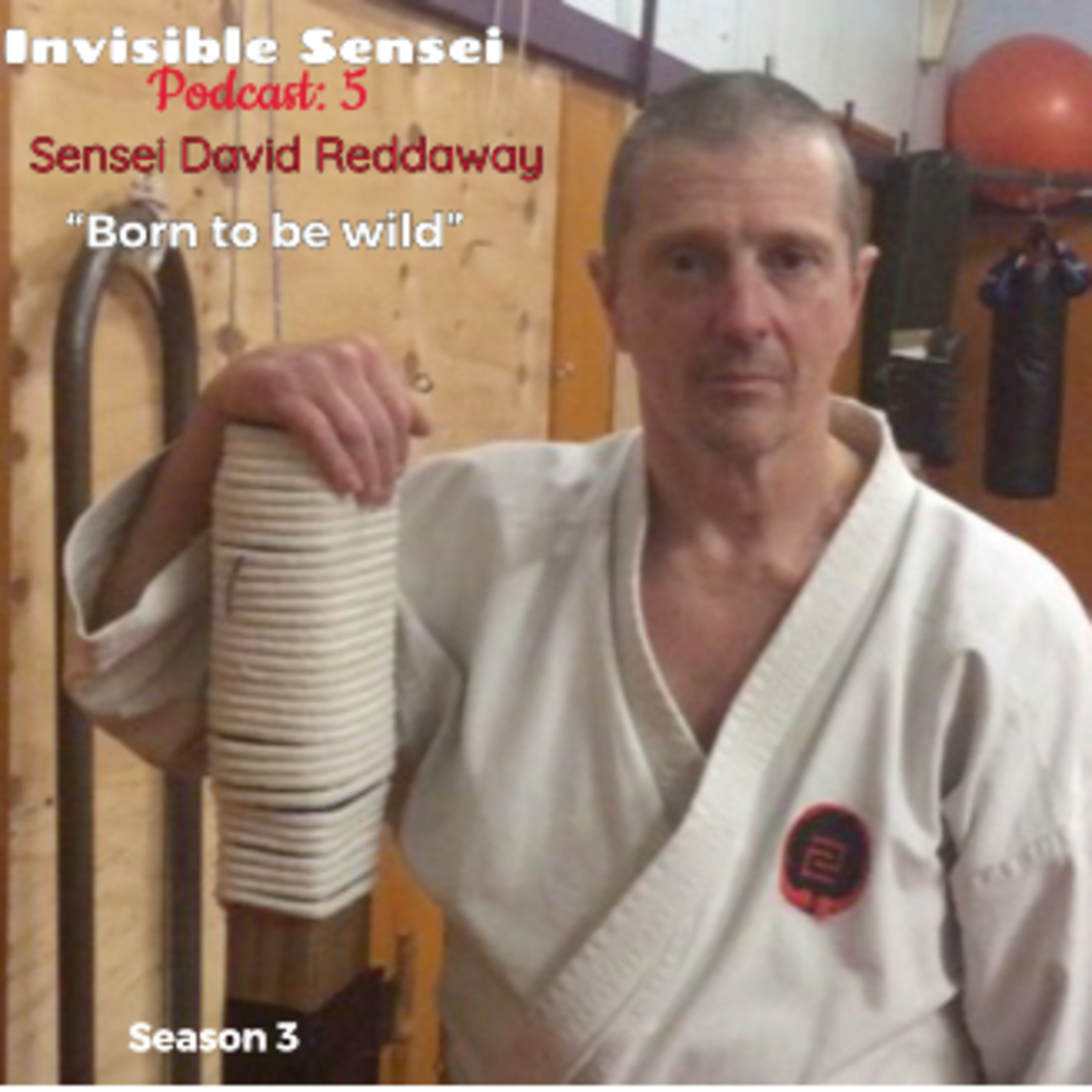 The Invisible Sensei