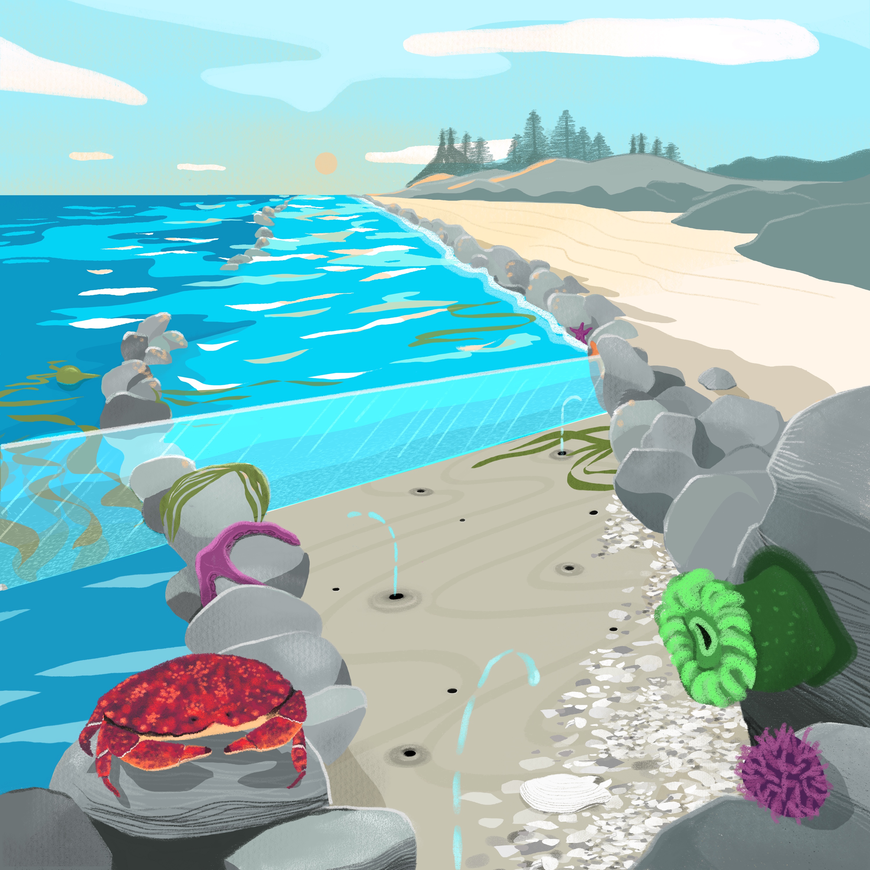 Bioneers presents Future Ecologies: Sea / Garden