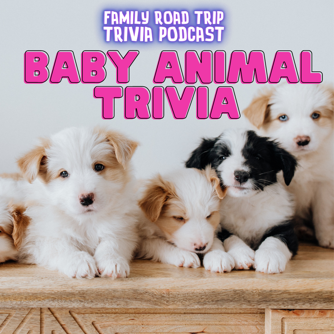 Baby Animal Trivia - Episode 148