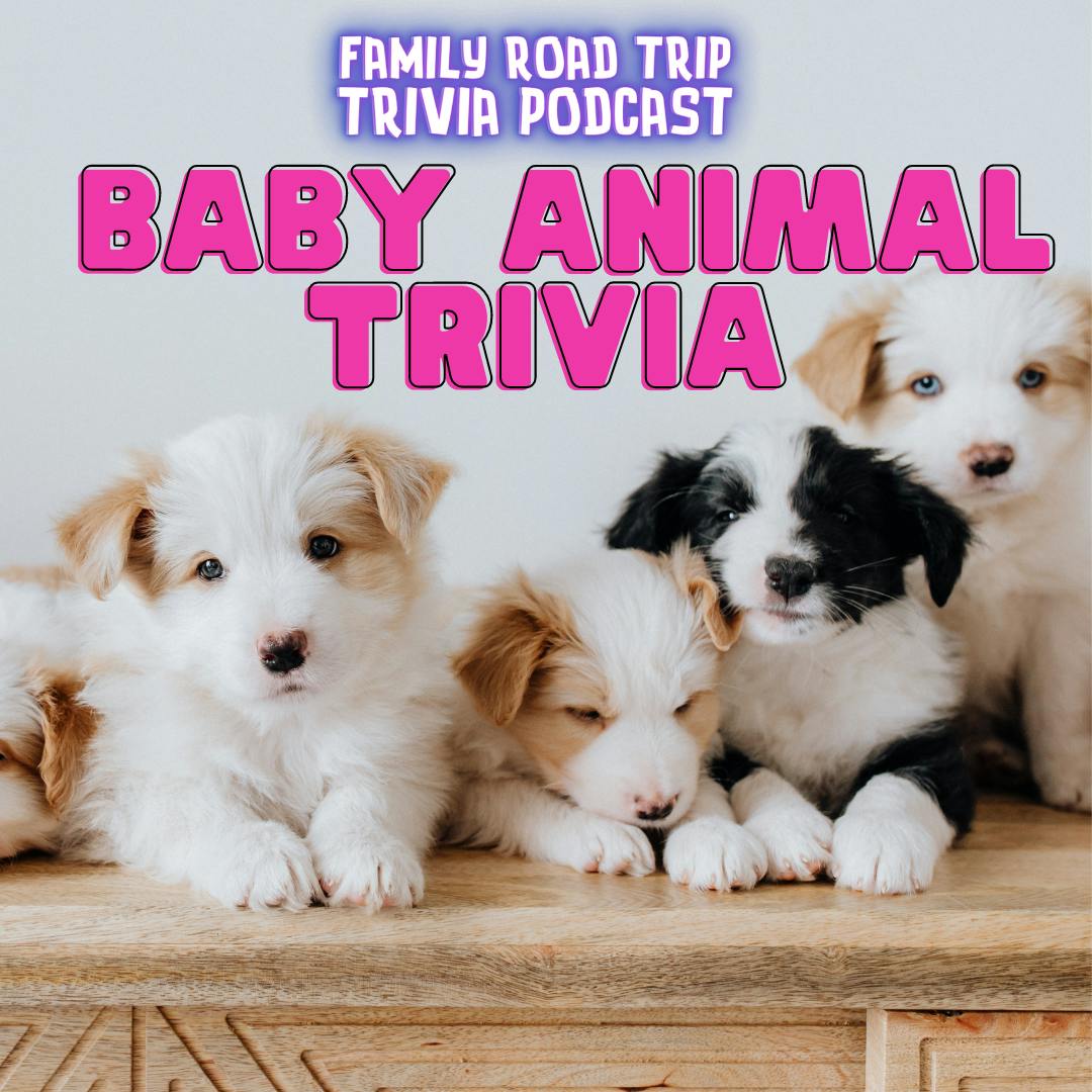 Baby Animal Trivia - Episode 148