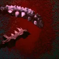 Jaws 3-D (1983)