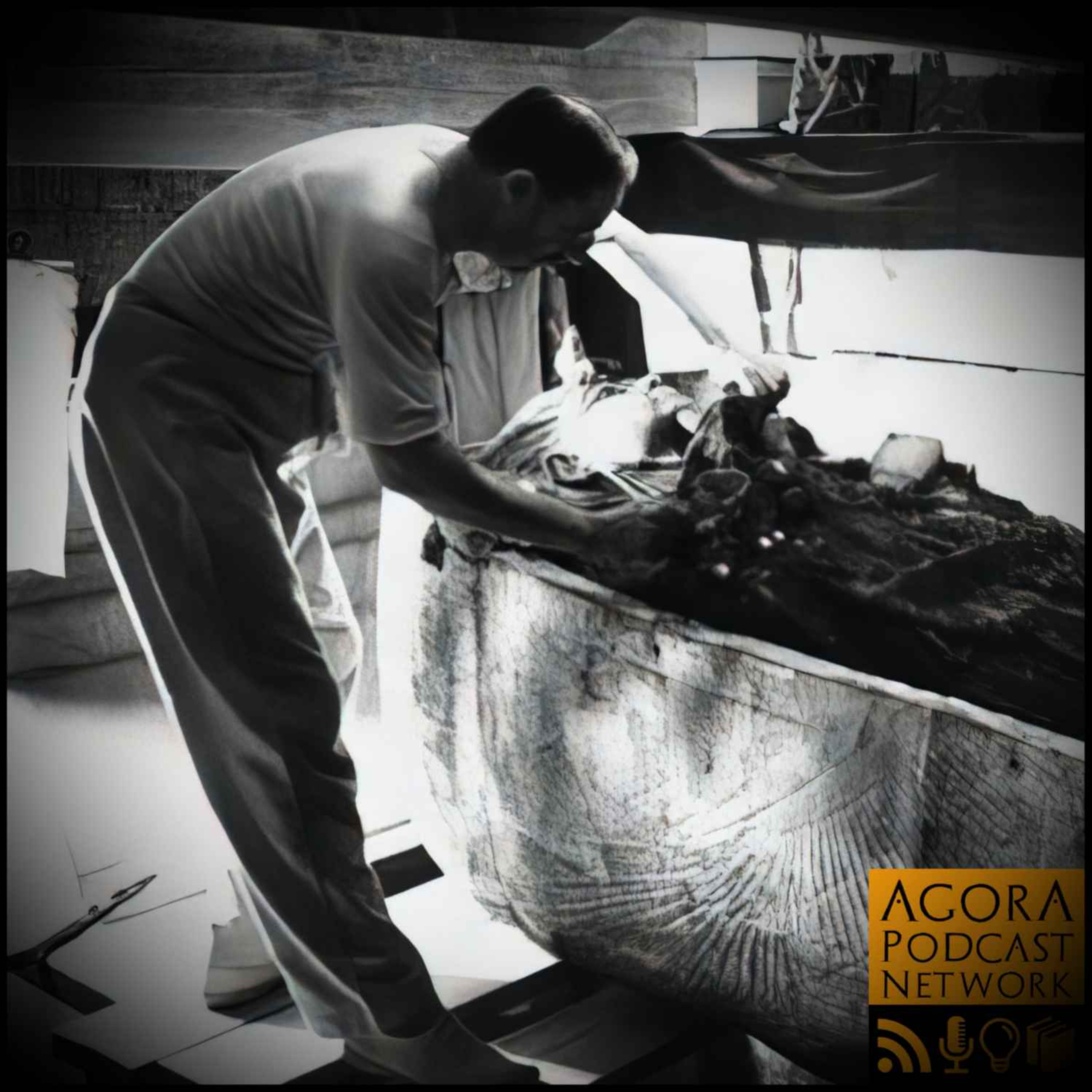 153d: The Tomb of Tutankhamun (Part 4)