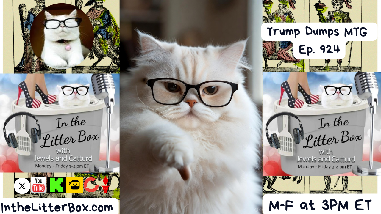 Trump Dumps MTG | In the Litter Box w/ Jewels & Catturd – Ep. 924– 11/17/2025