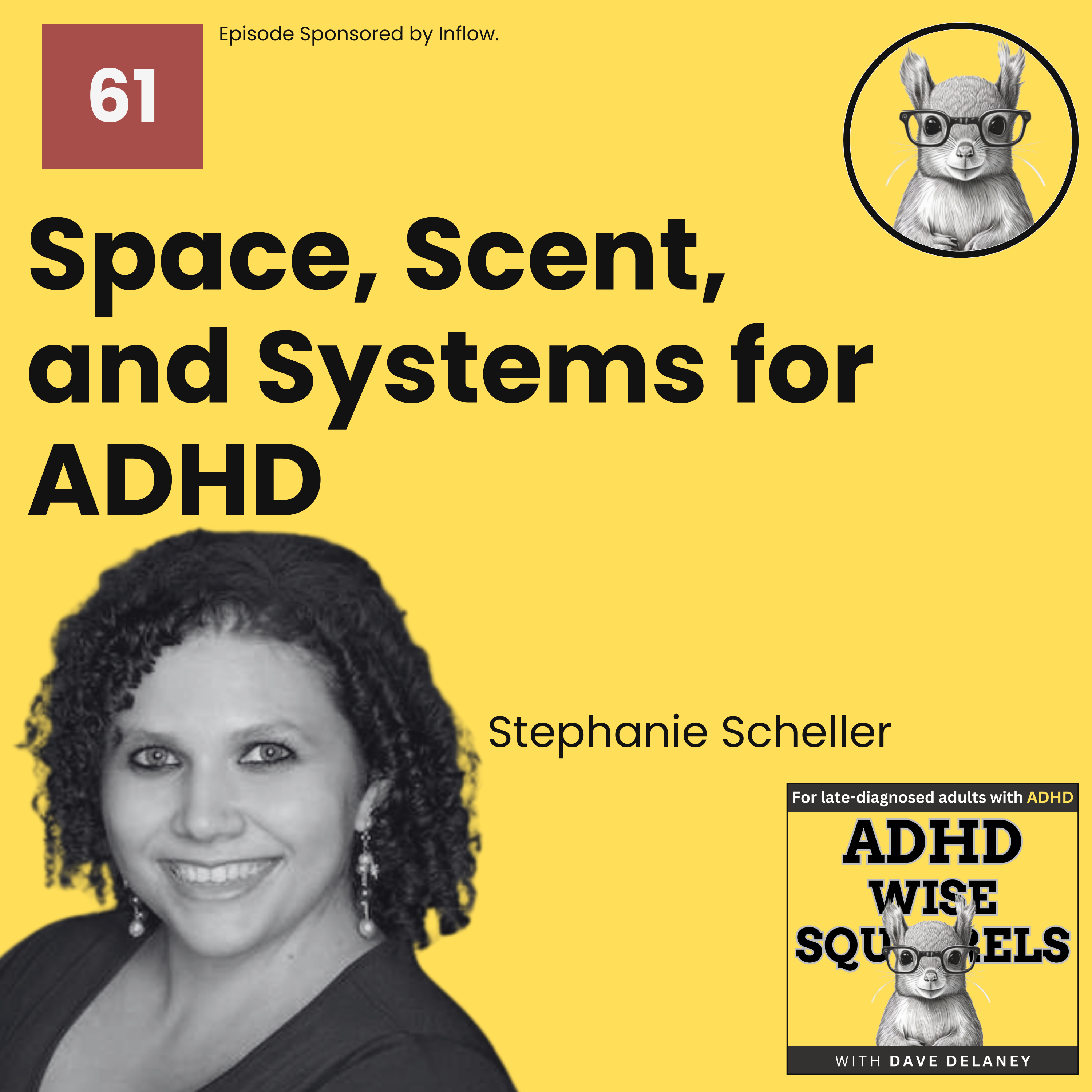 ADHD Wise Squirrels for late-diagnosed adults with ADHD.