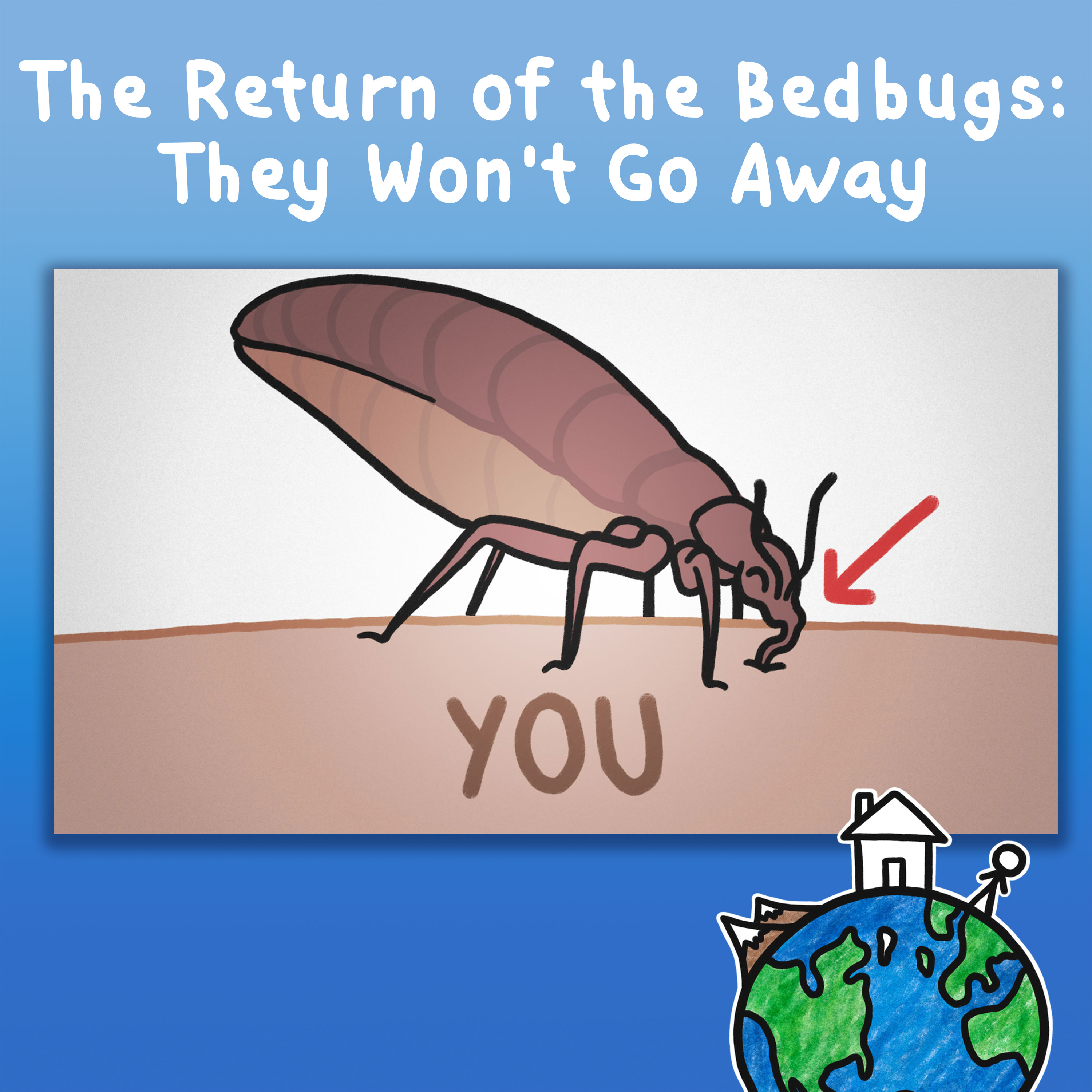 The Return of the Bedbugs: They Won't Go Away