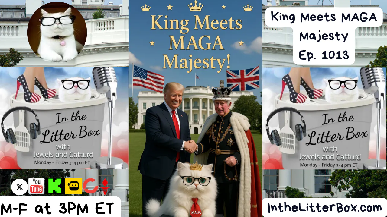 King Meets MAGA Majesty! | In the Litter Box w/ Jewels Jones & Catturd – Ep. 1013 4/28/2026 episode artwork