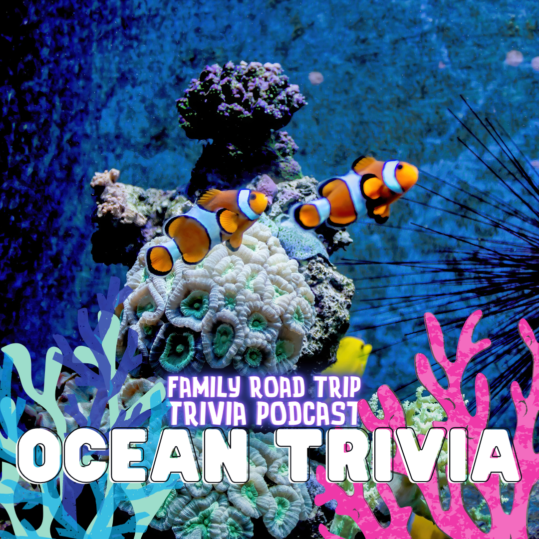 Ocean Trivia - Episode 145