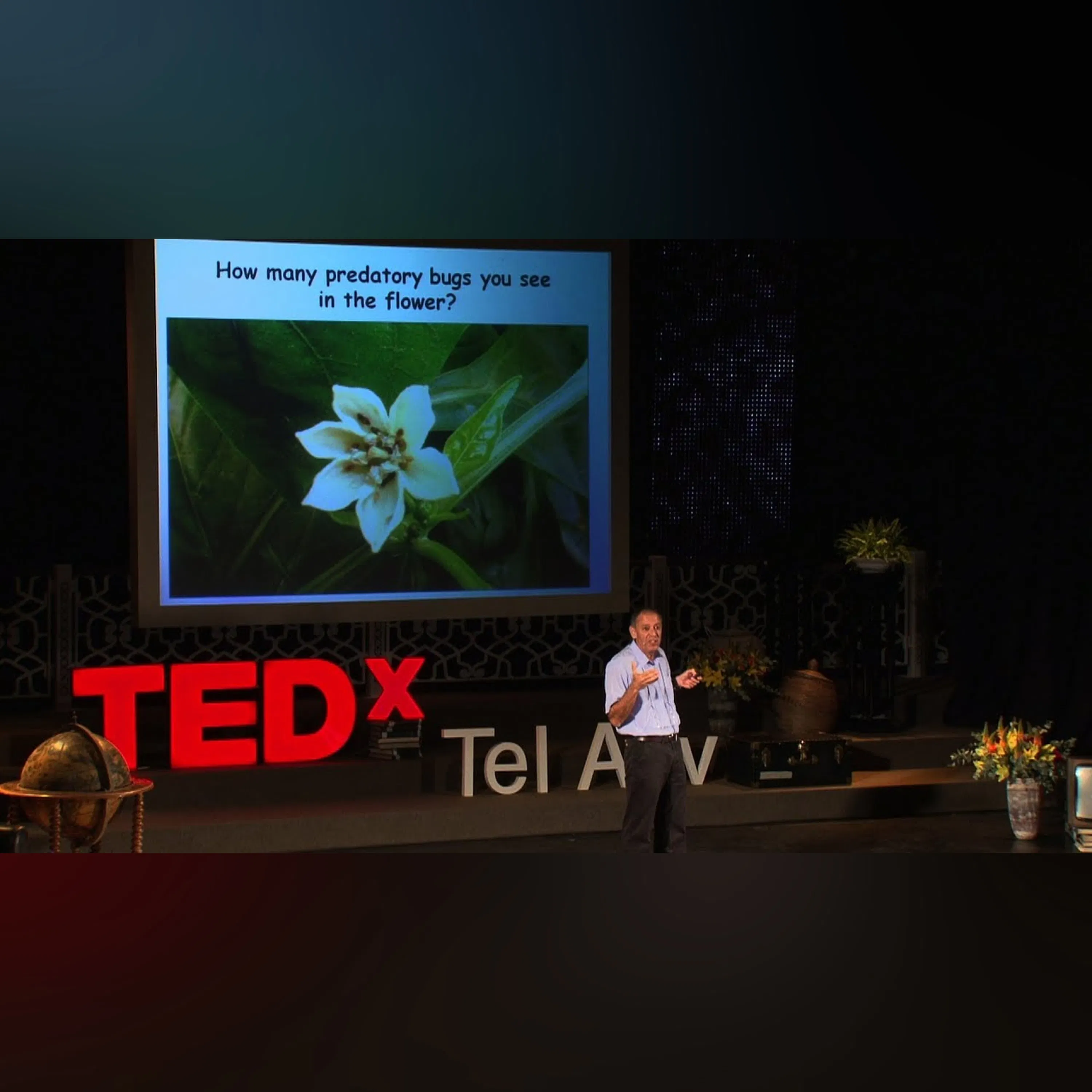 Natural pest control ... using bugs! - Shimon Steinberg