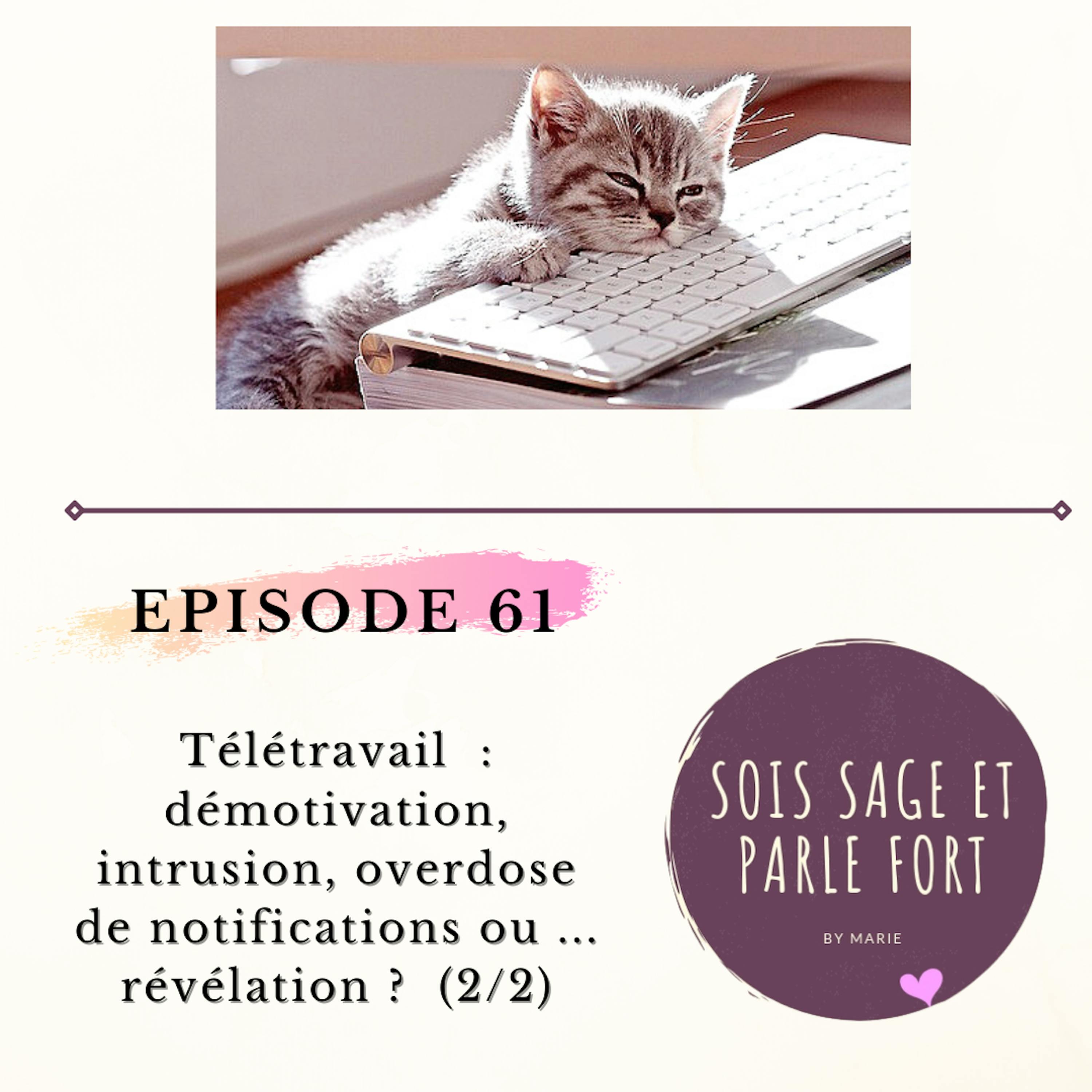 Télétravail  : démotivation, intrusion ou ... révélation ? Partie 2/2