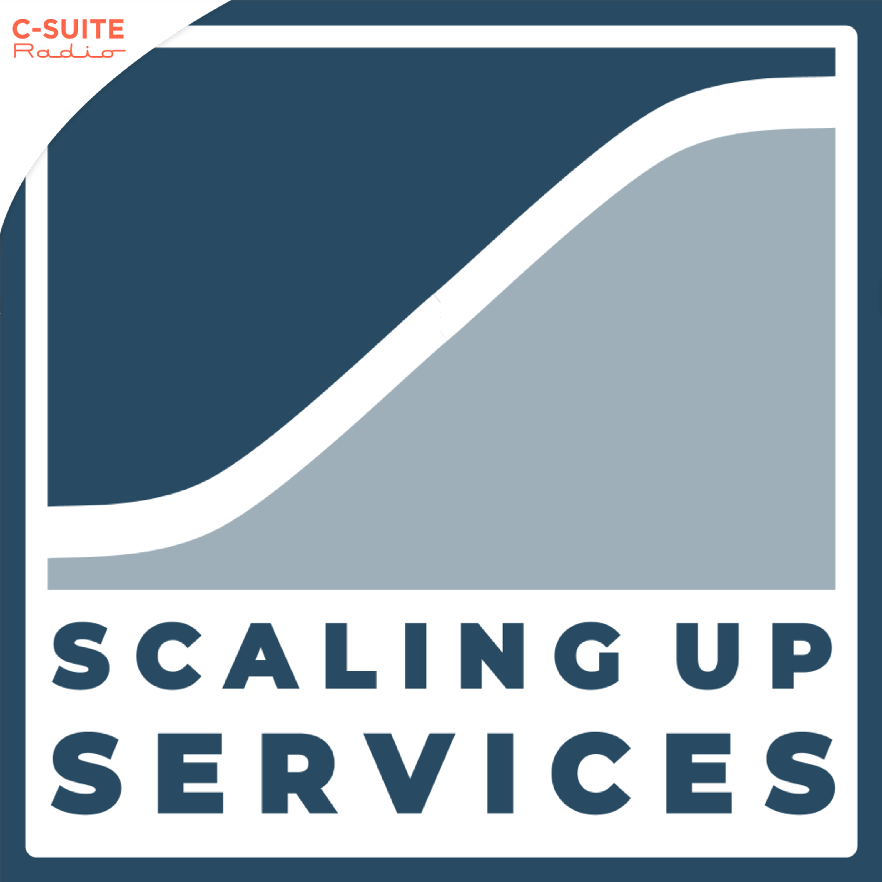 Scaling Up Services