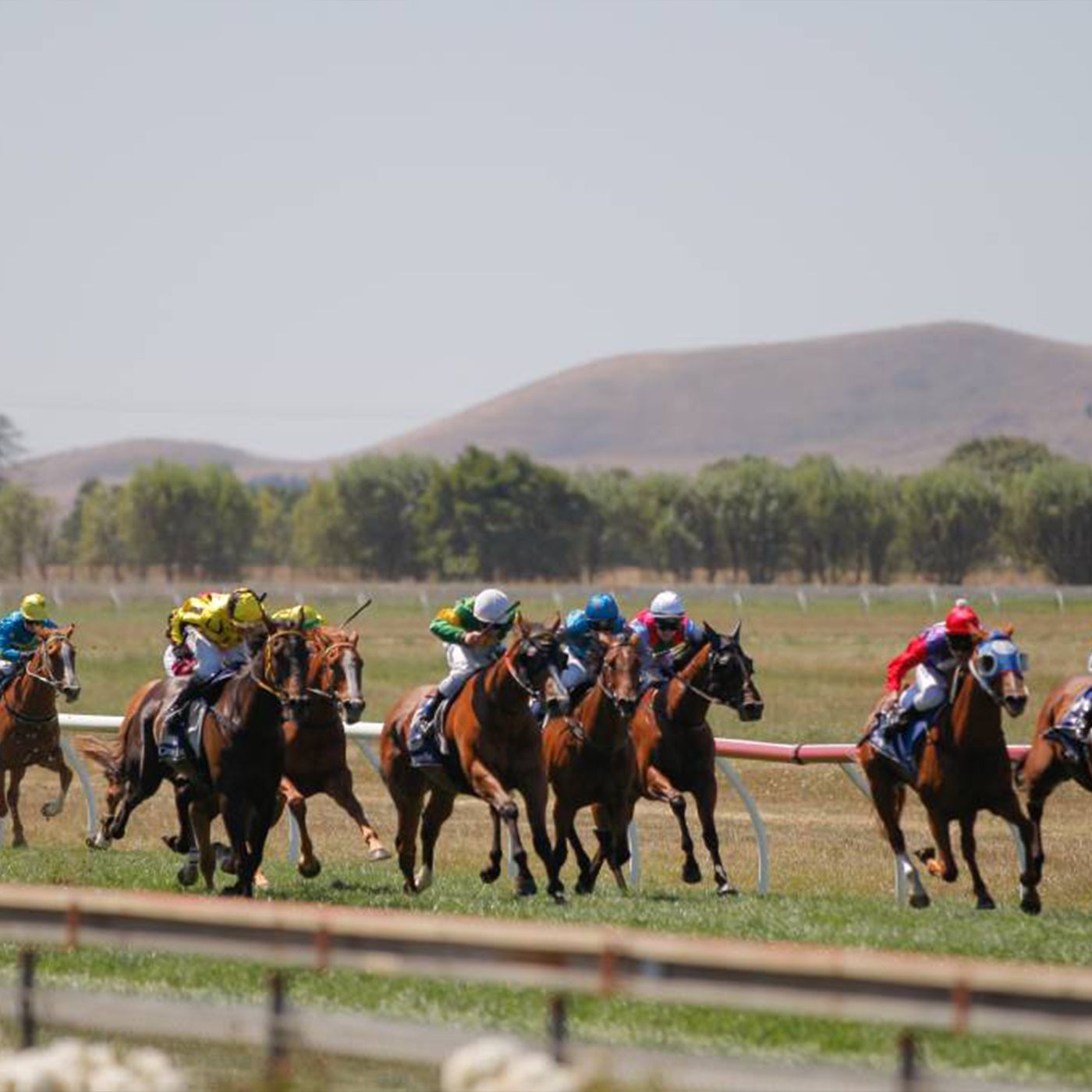 Terang Racing Club's Wayne Johnston chats to Andrew Kuuse re Terang Cup meeting episode artwork