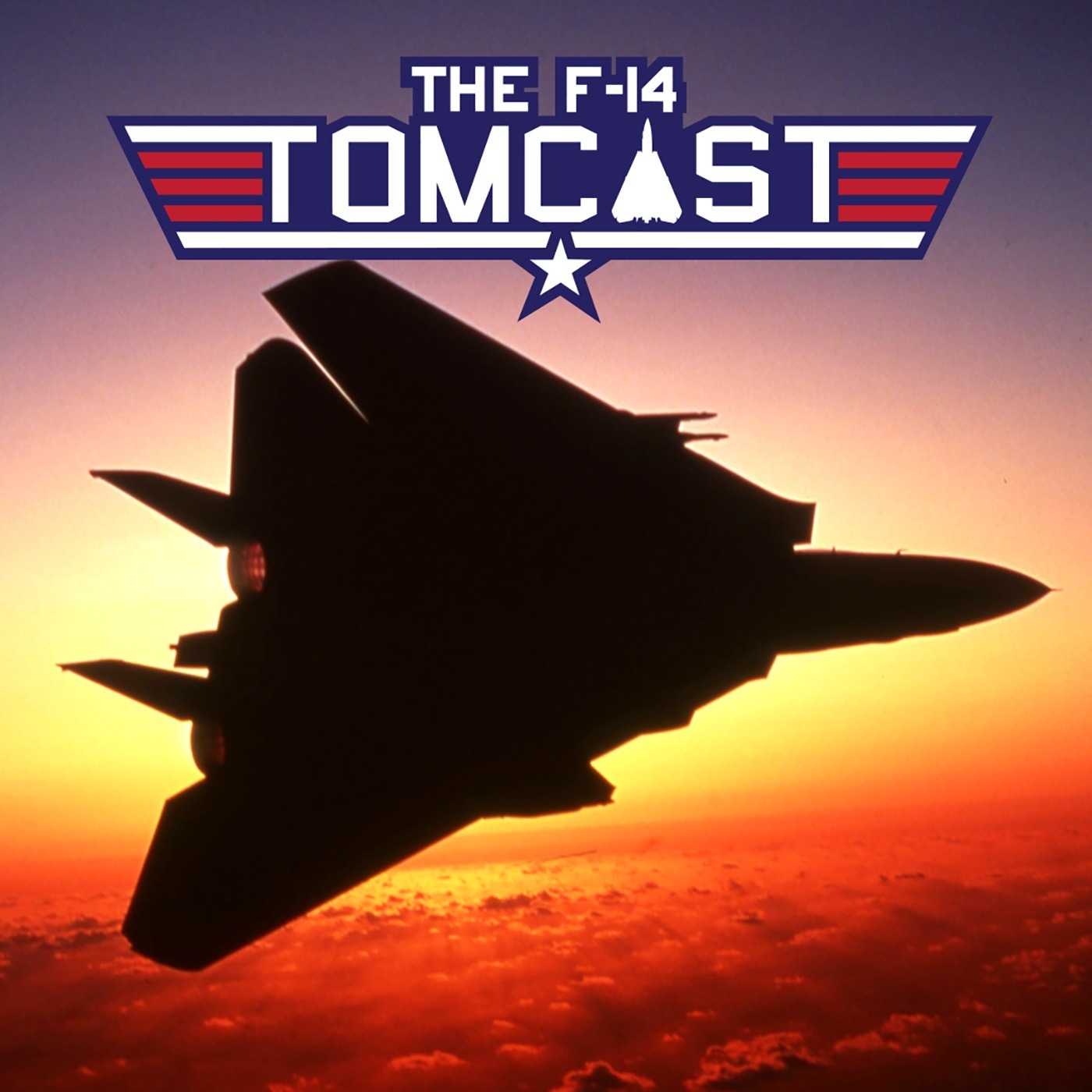 25. Retiring the F-14 Tomcat