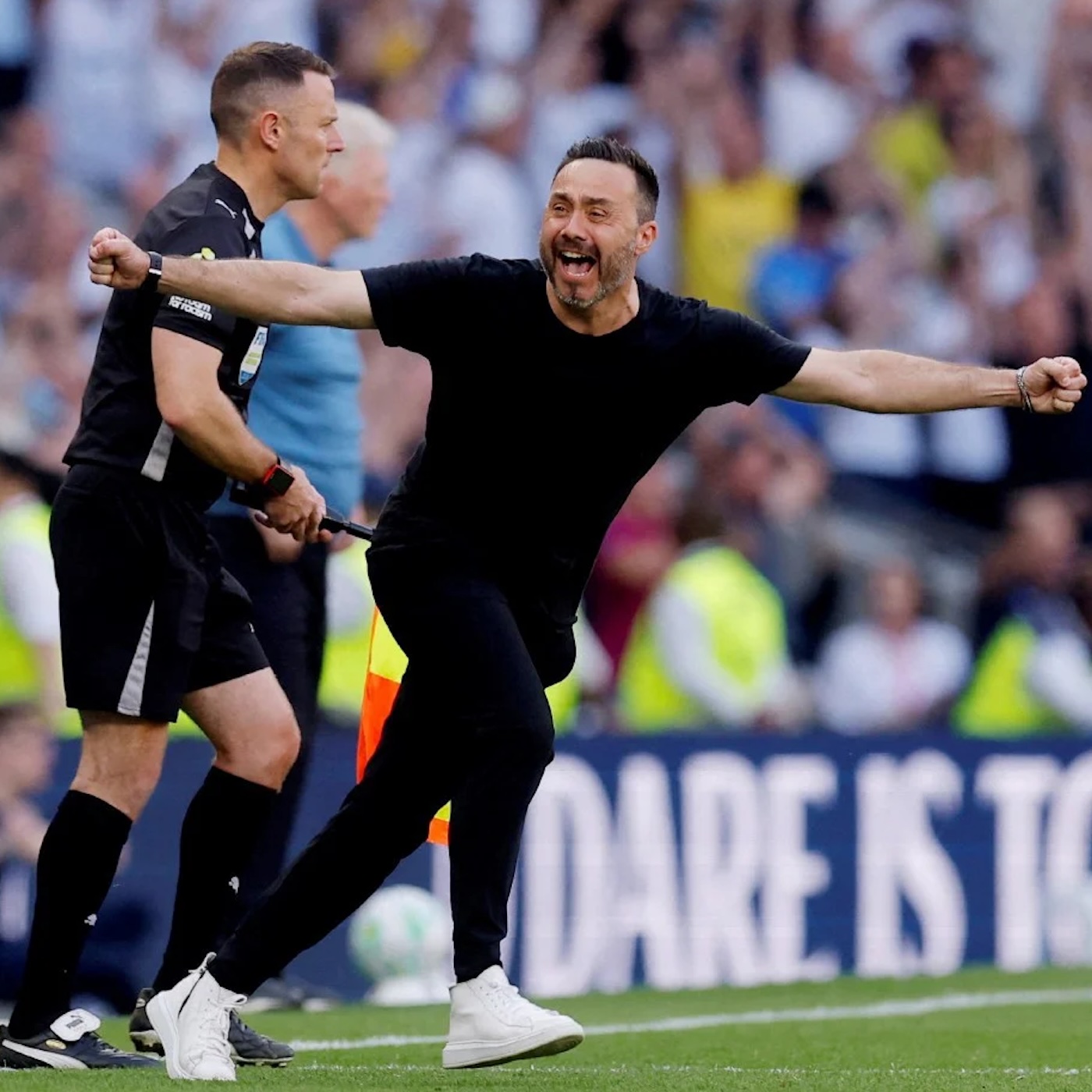 'Survival' The Review of the Season