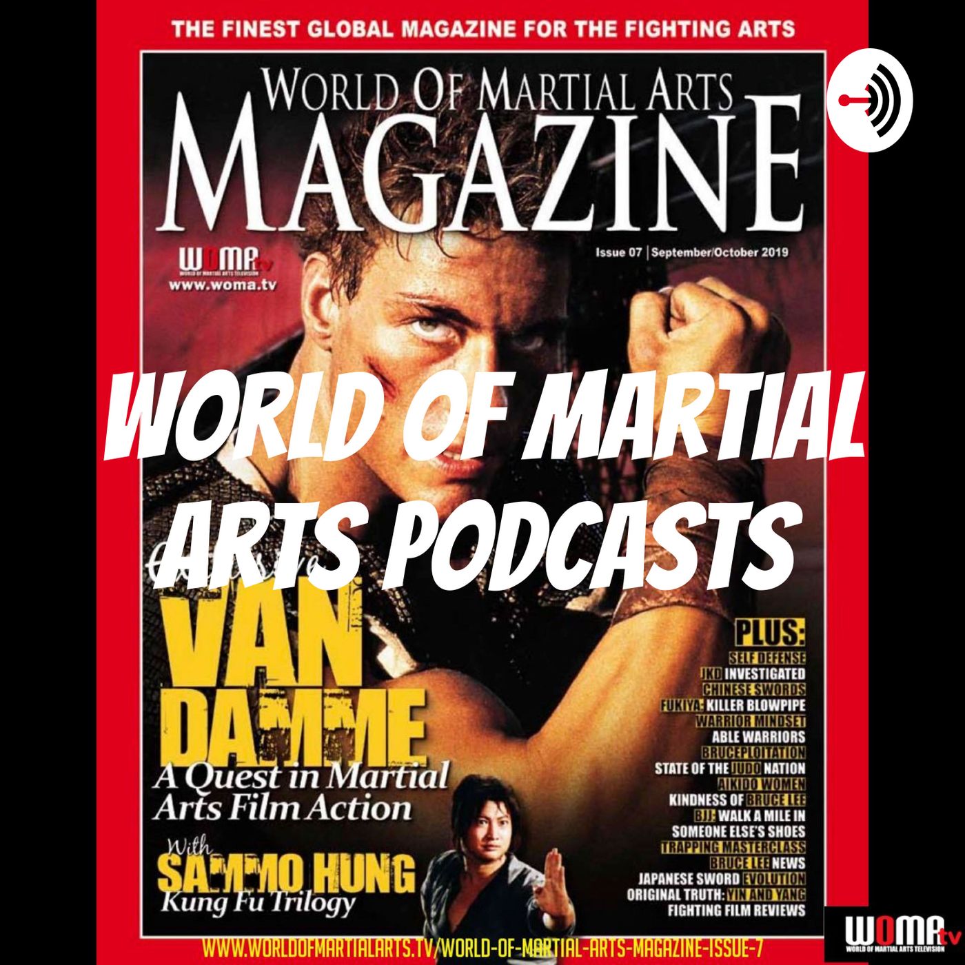 No Limits!!!!! Brittle Bone Disease in TaeKwonDo Podcast episode artwork