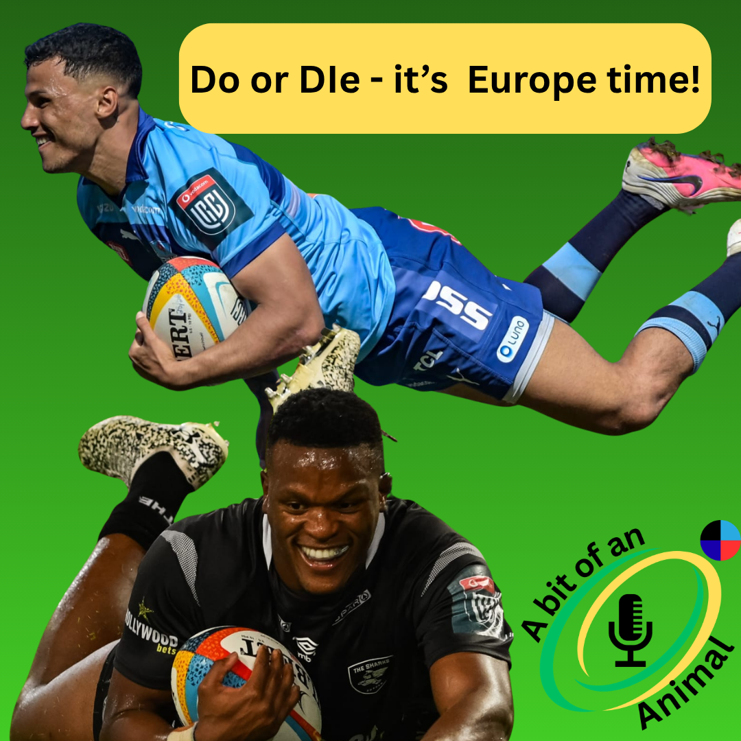 Do or Die - Champions Cup, Challenge Cup, Womens Super League One Final Preview | A Bit of An Animal