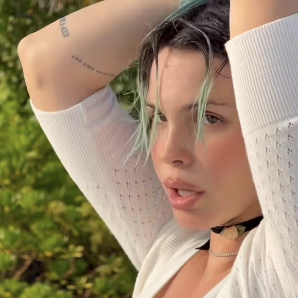 TUTTALUCE - ROSE VILLAIN