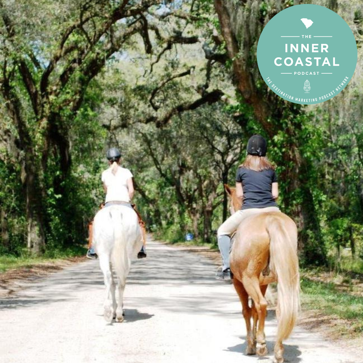 49: Take a Ride with Camelot Farms episode artwork