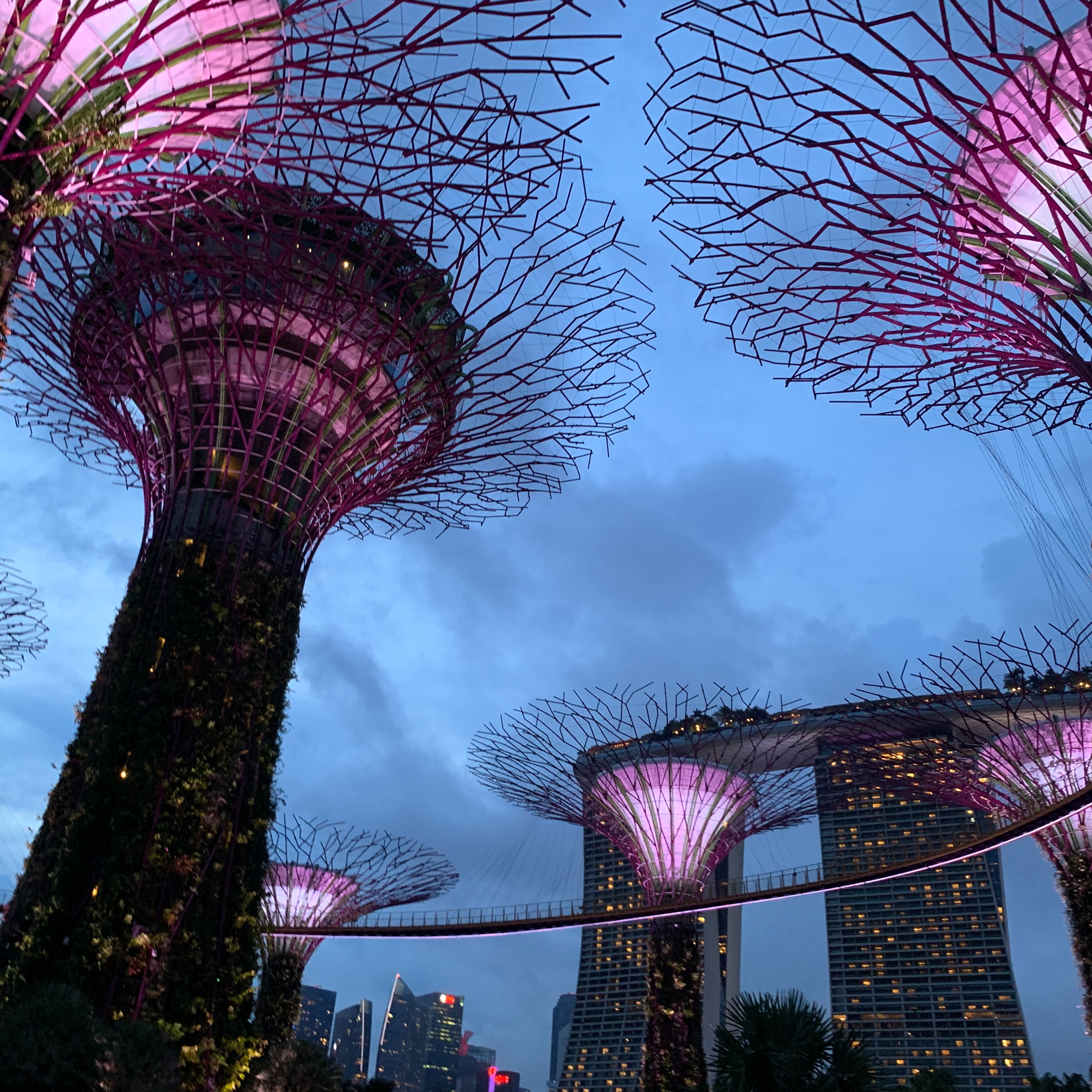 2023 Singapore Grand Prix-view