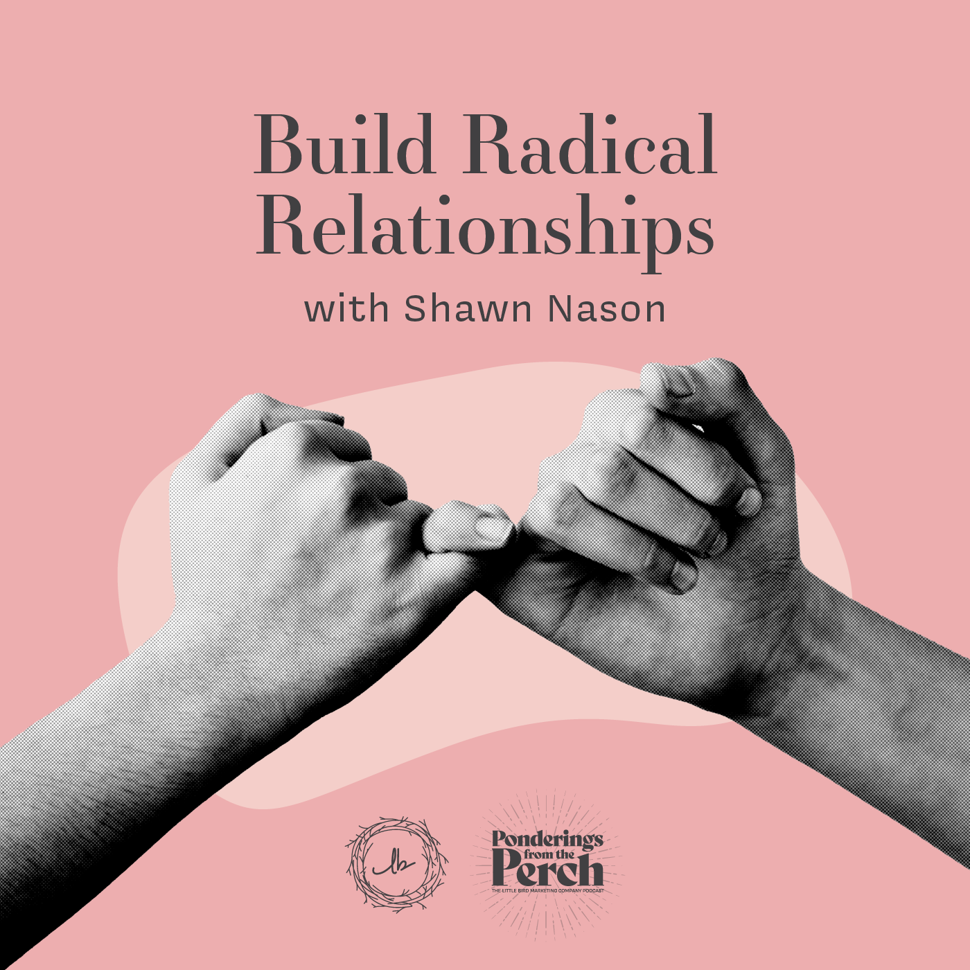 Build Radical Relationships with Shawn Nason episode artwork