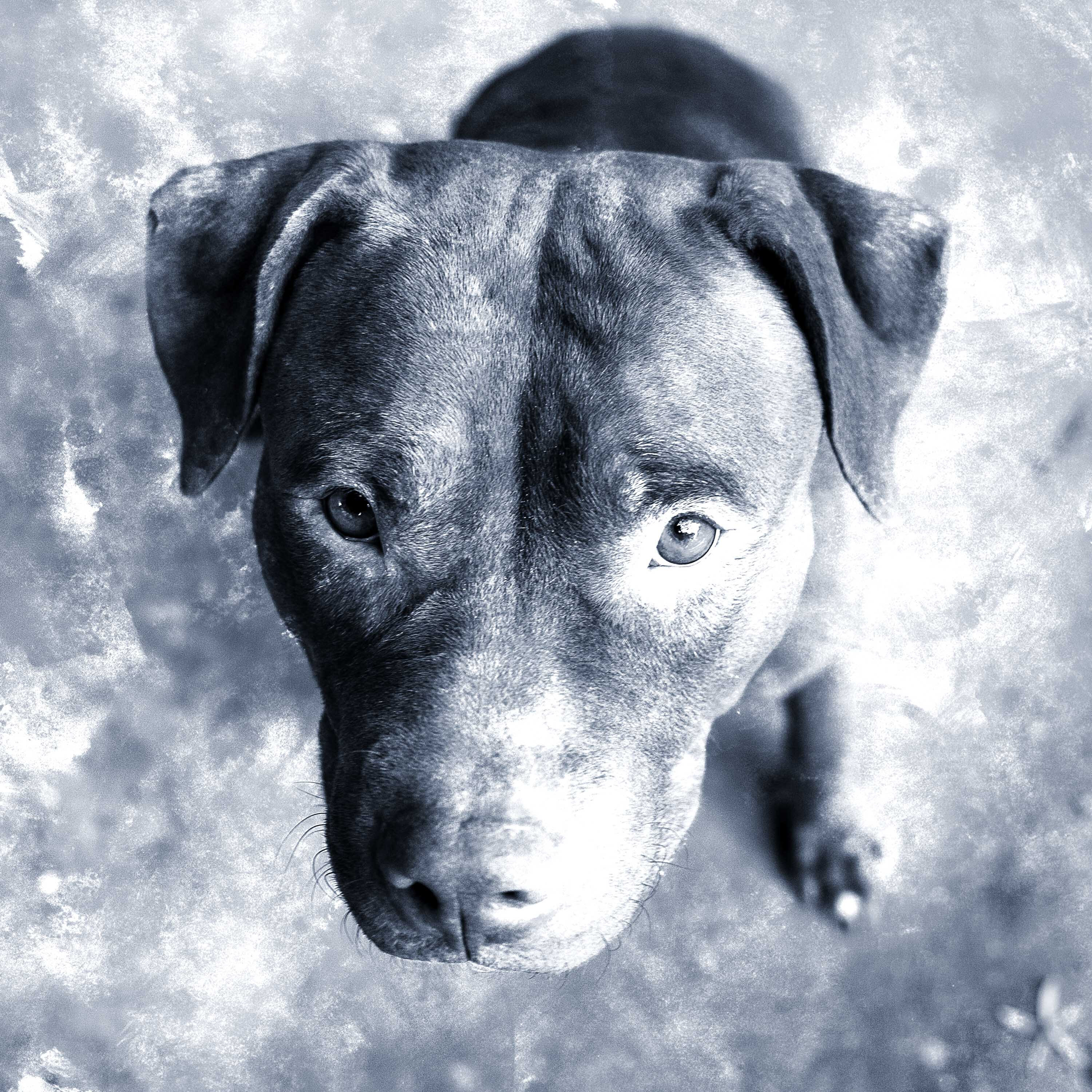 Friends 'Til the Bitter End