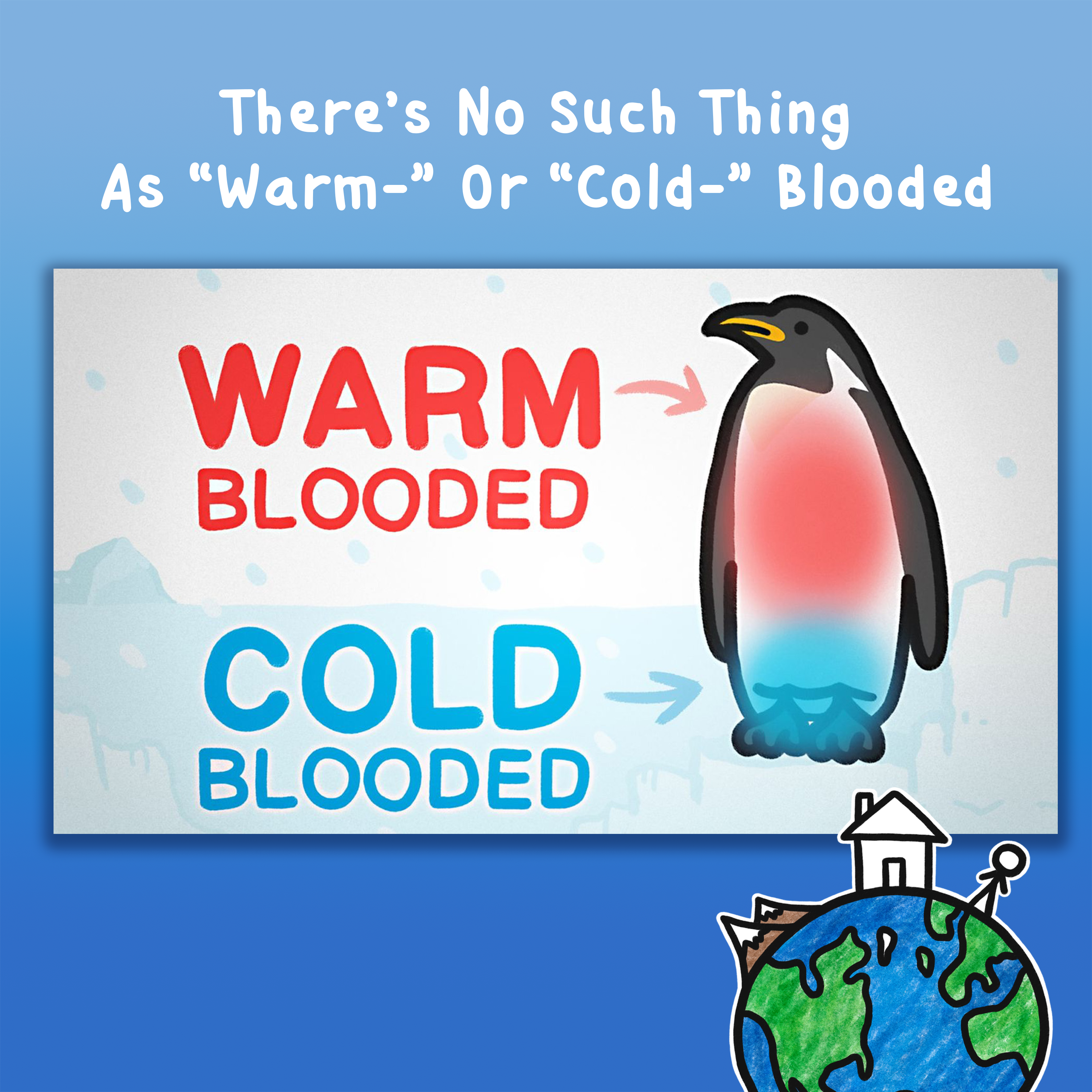 There’s No Such Thing As “Warm-” Or “Cold-” Blooded