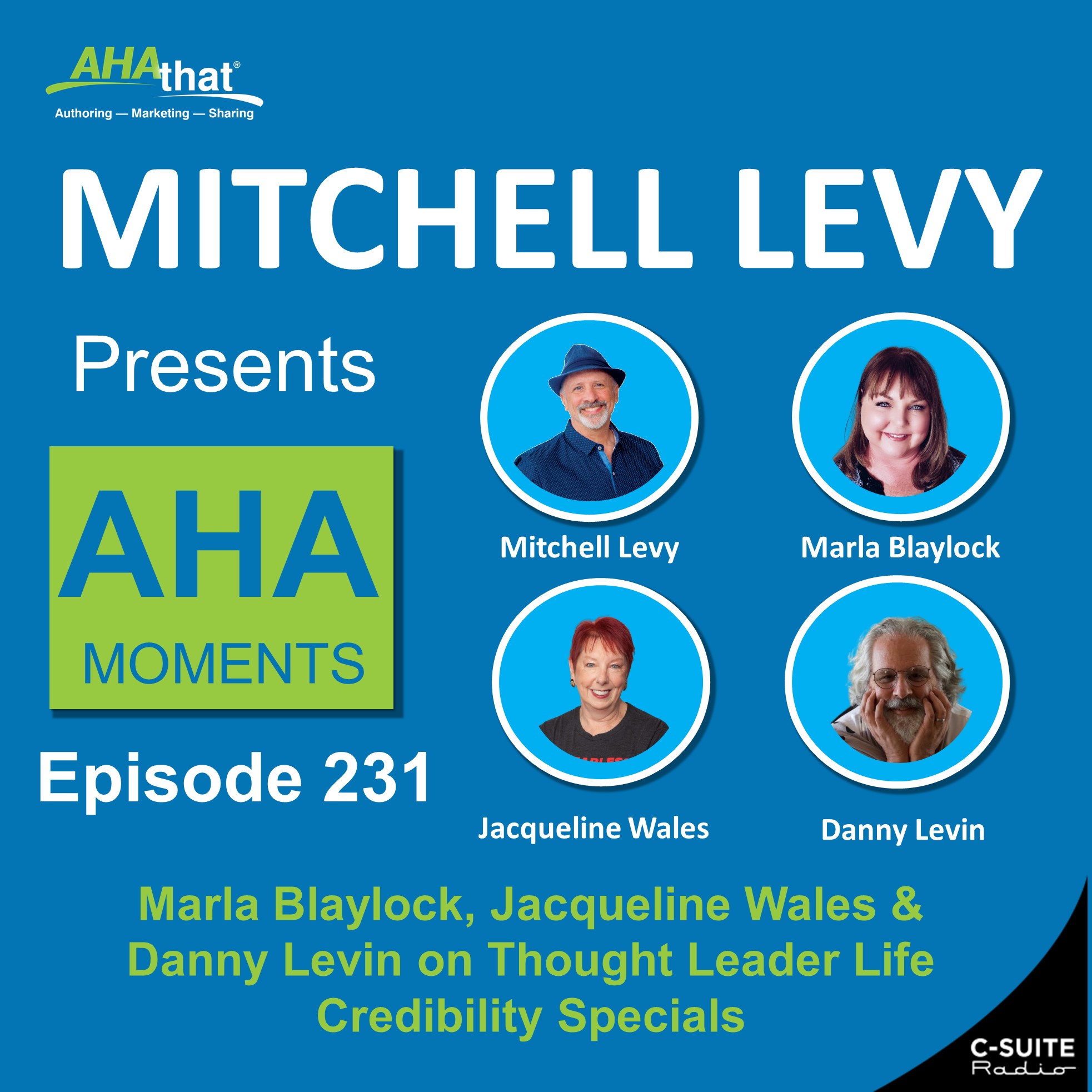 Mitchell Levy Presents AHA Moments