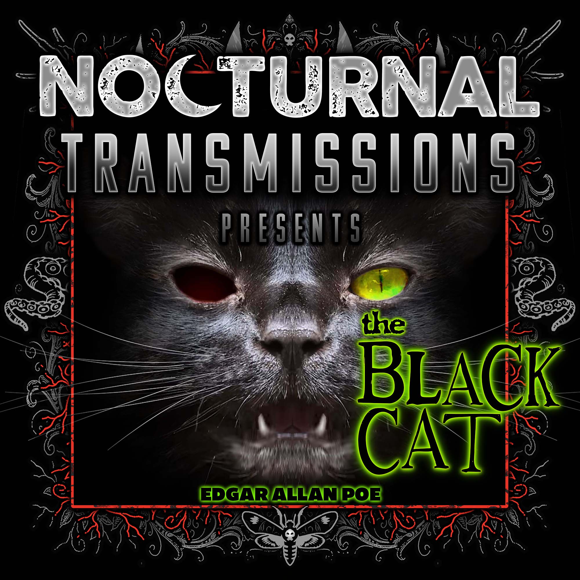 NOCTRANS Ep 115 - The Black Cat  [HALLOWEEN EPISODE]