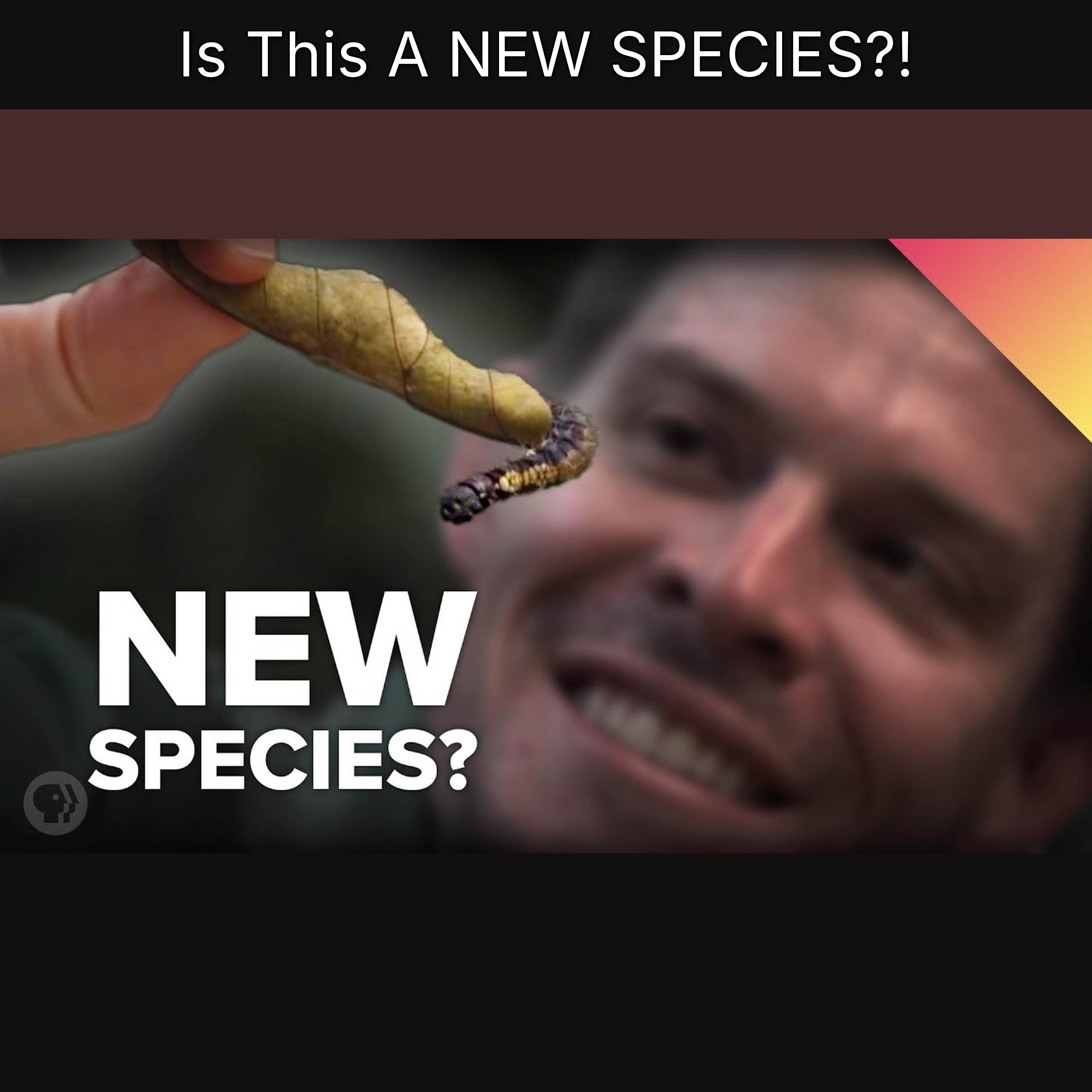 Is This A NEW SPECIES?! episode artwork