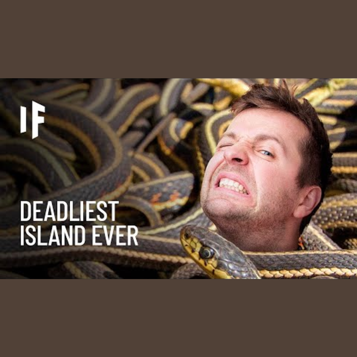 What If You Spent a Month on Snake Island? episode artwork