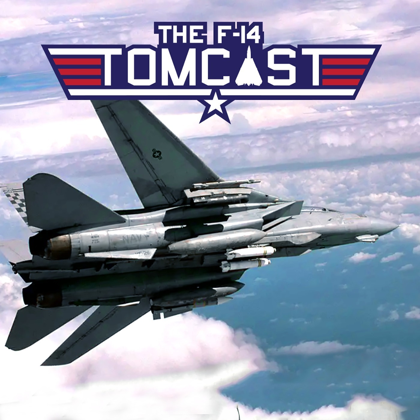 24. The F-14 Tomcat in Operation Iraqi Freedom