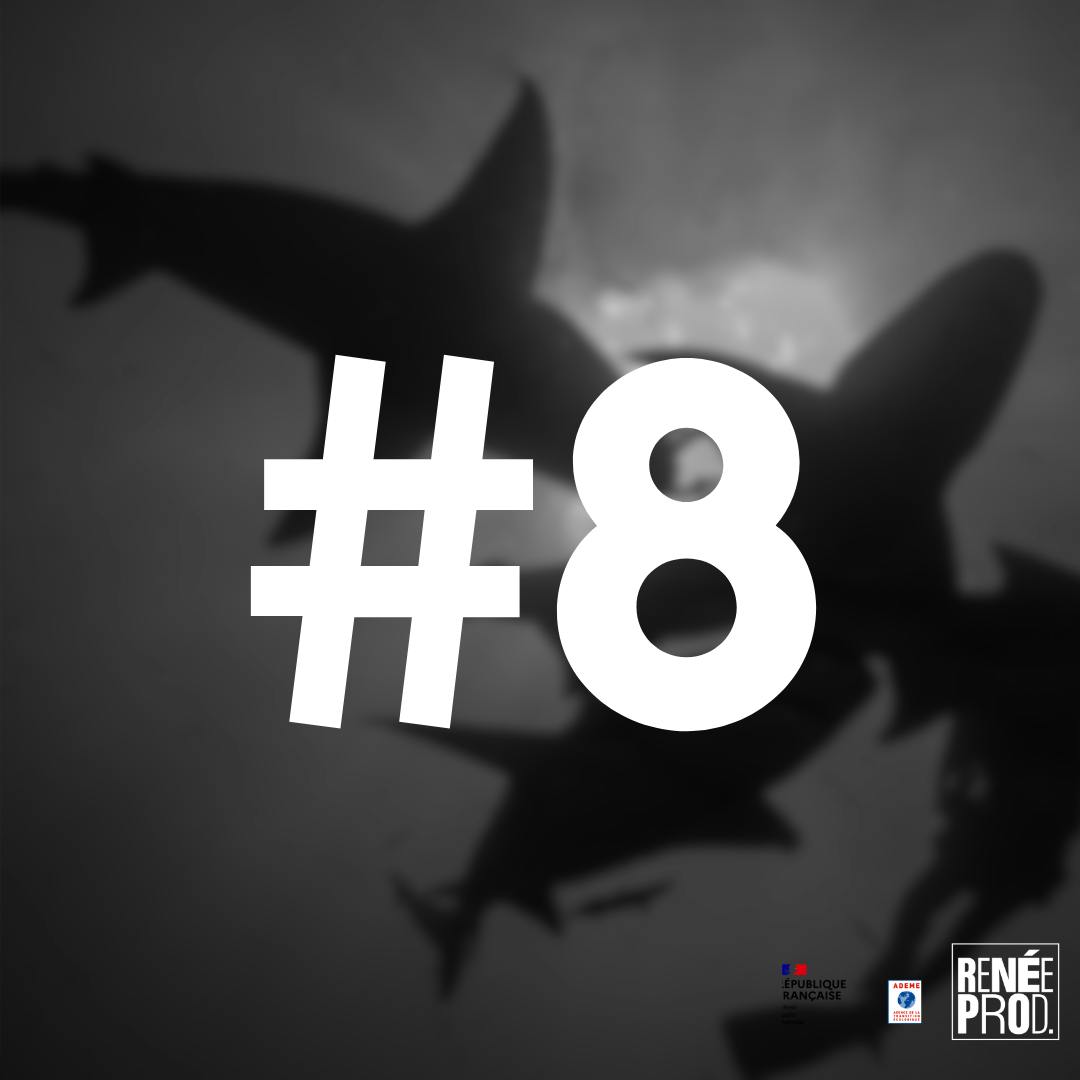 Plongeon au milieu des requins Plongeon au milieu des requins