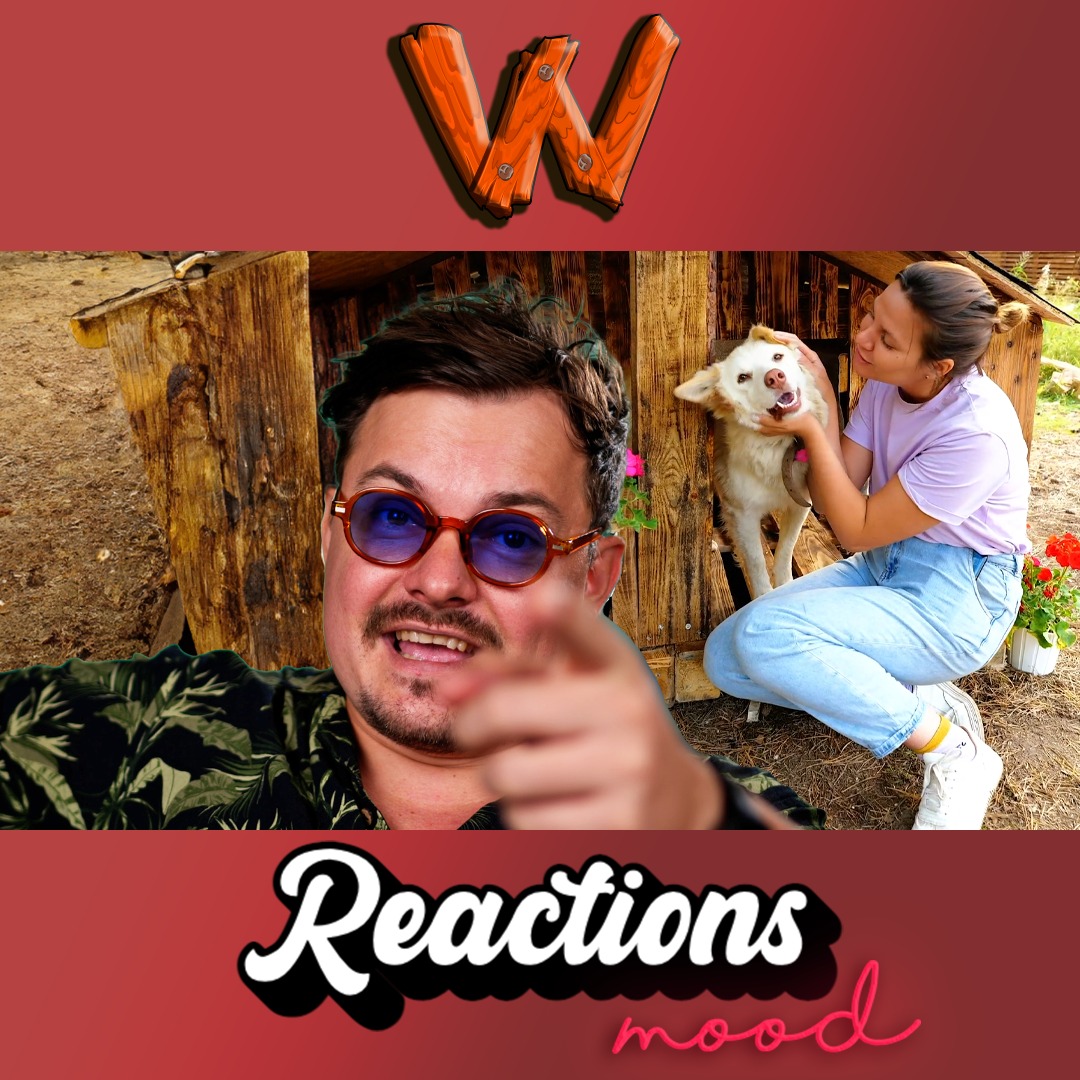 A Dog House Made of Pallets? Let’s Check It Out! episode artwork