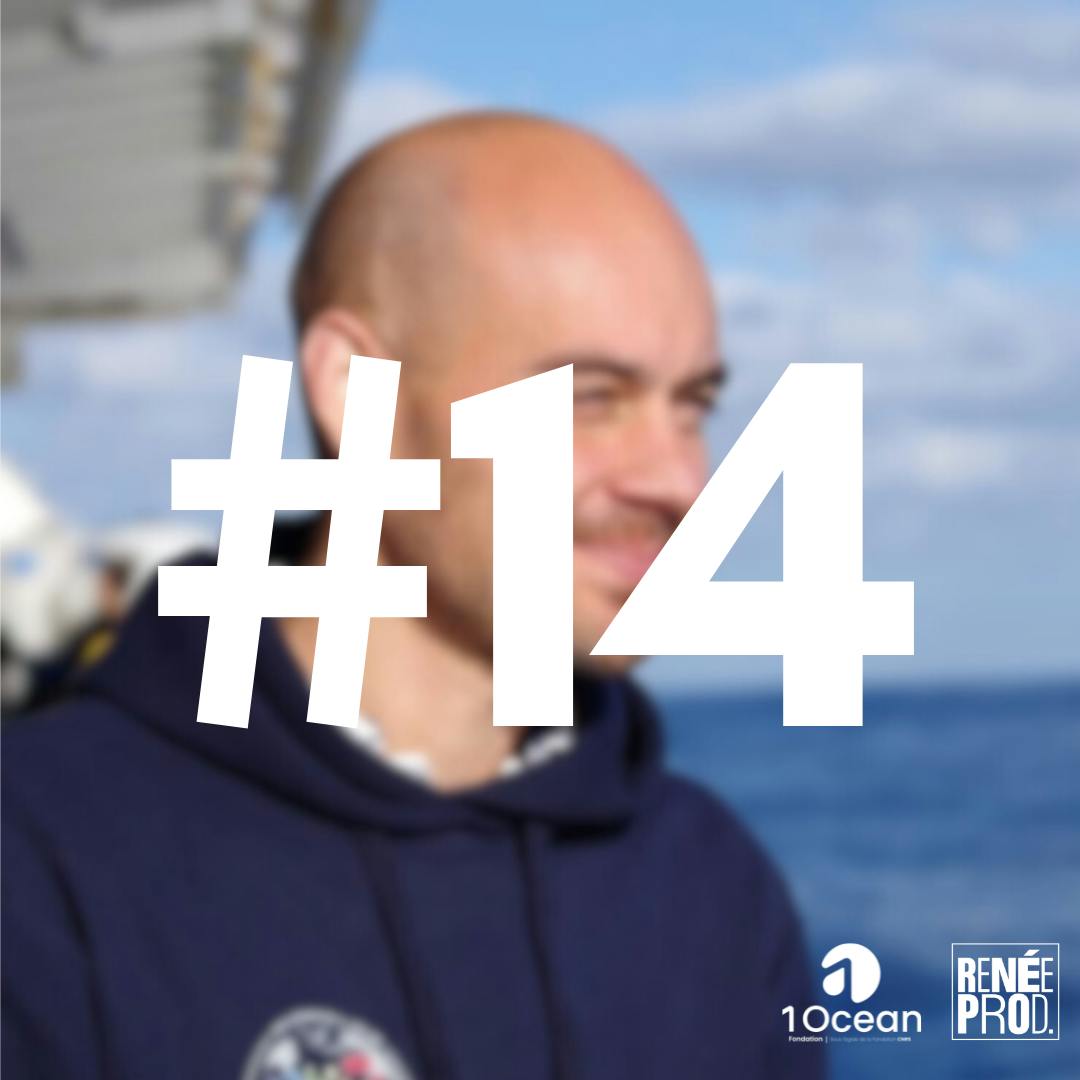 Plongeon avec les baleines Plongeon avec les baleines