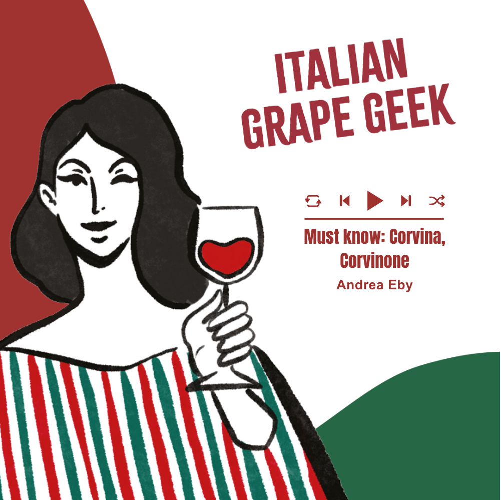 Corvina, Corvinone by Andrea Eby | Italian Grape Geek