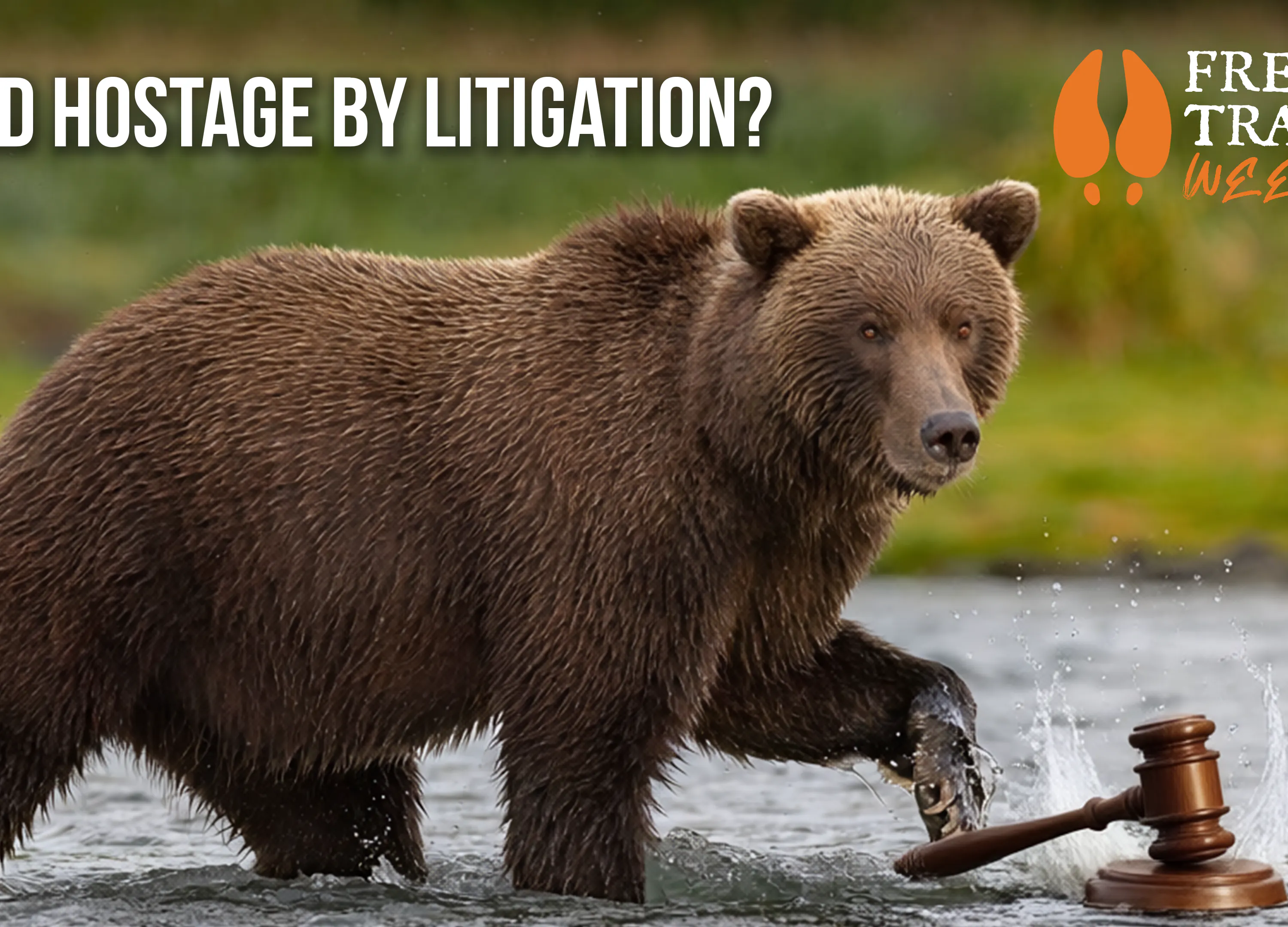 Congress to DELIST Grizzly Bears??? | Week of April 21 episode artwork