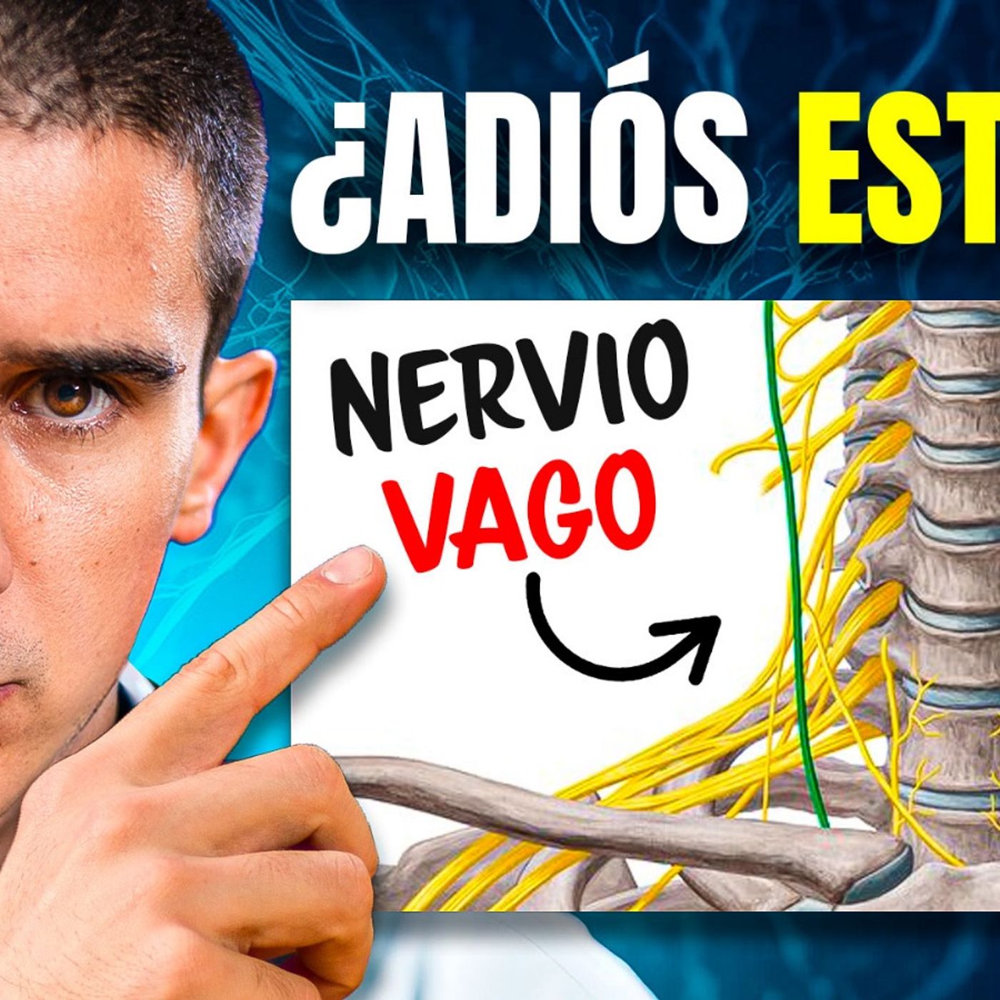 7 formas de ACTIVAR tu NERVIO VAGO que me cambiaron la vida