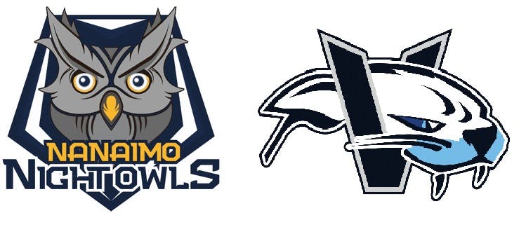 HarbourCats / Nightowls After Lockdown 2022 HarbourCats / Nightowls After Lockdown 2022